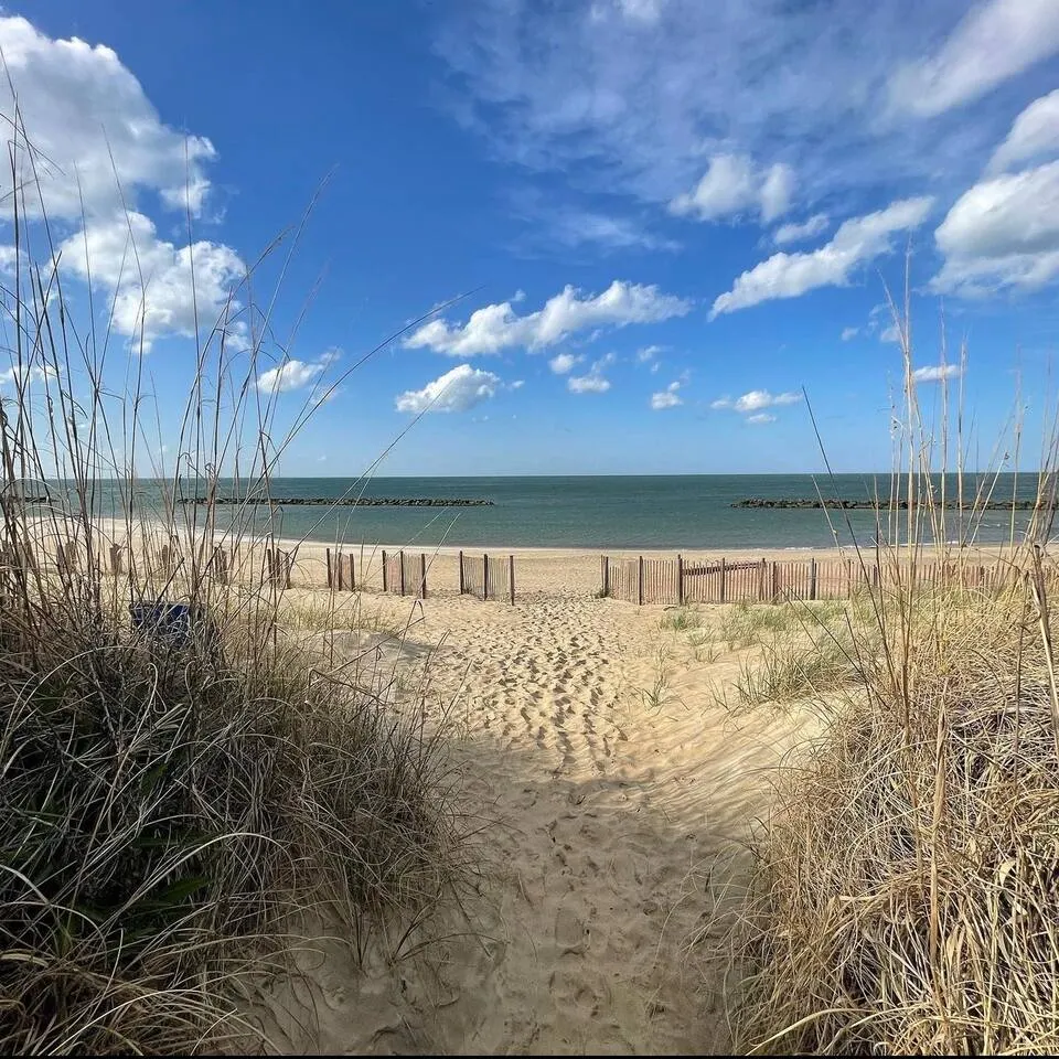 Norfolk 3BR Retreat Beach & Base Access 6