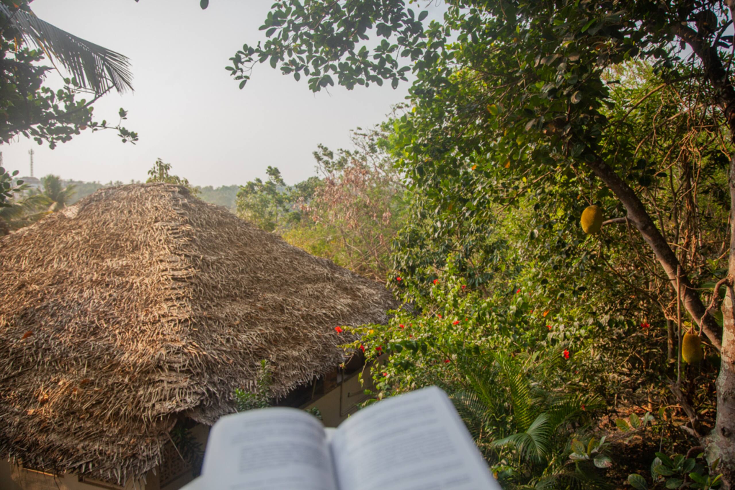 Private Yoga Retreat Center in Tropical Kerala 31