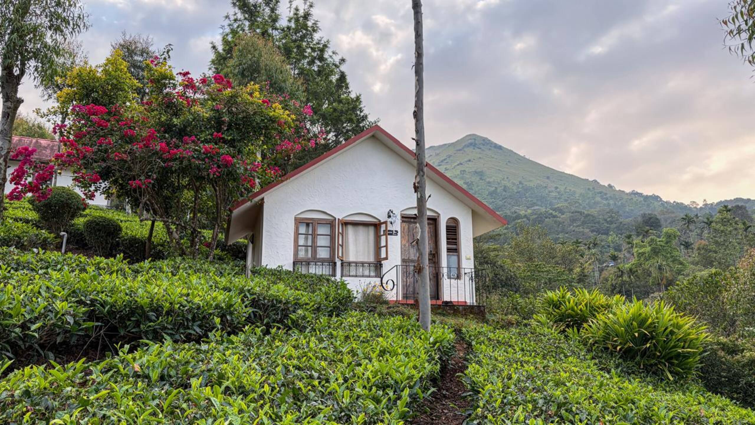 Hillside cottage 12