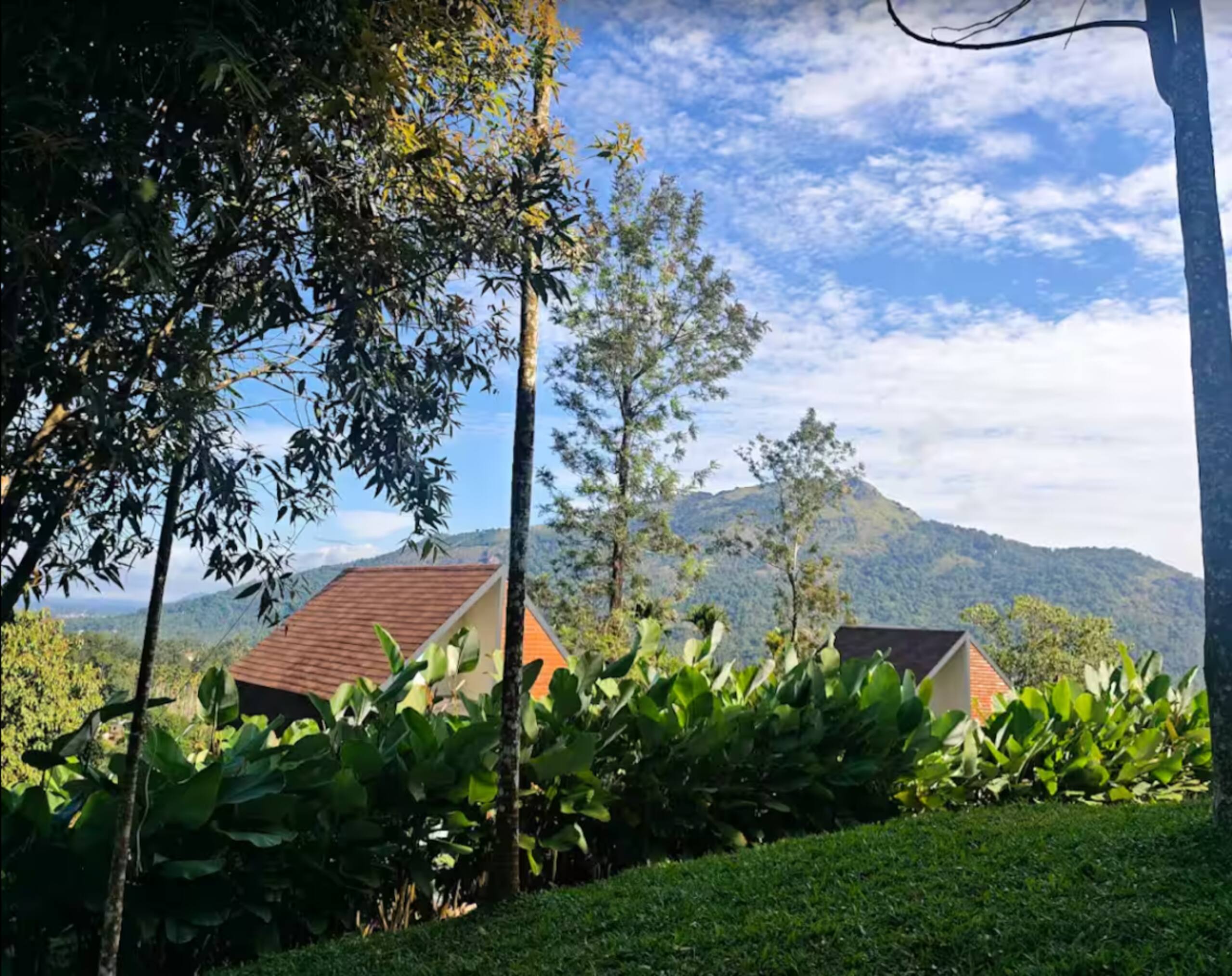 Hillside cottage 8