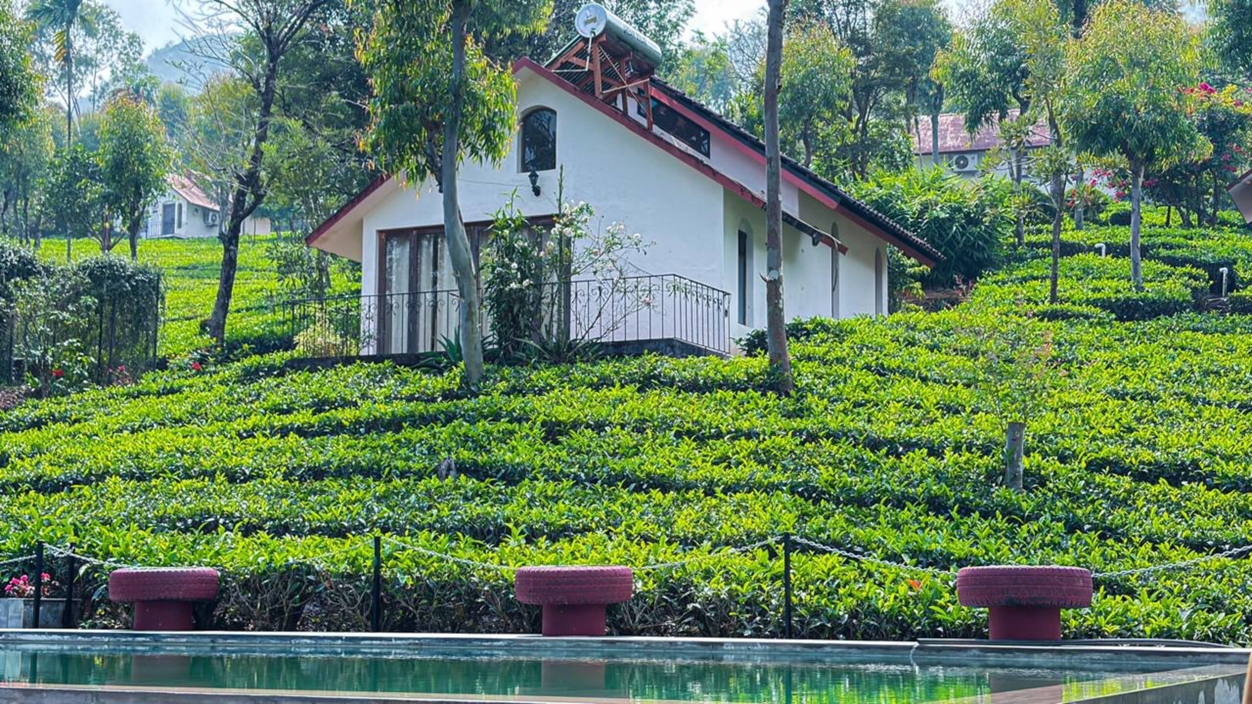 Hillside cottage 3
