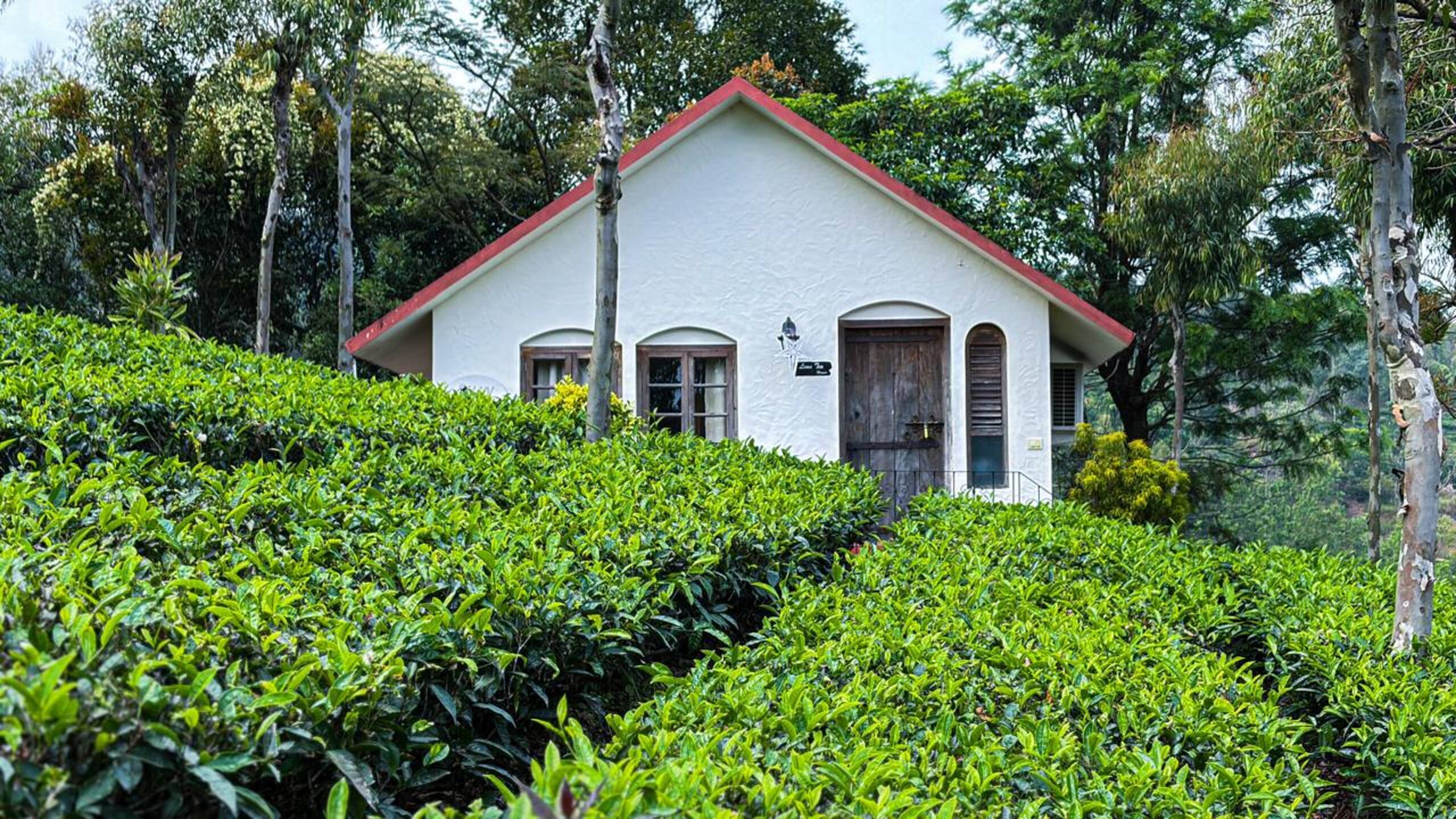 Hillside cottage 16