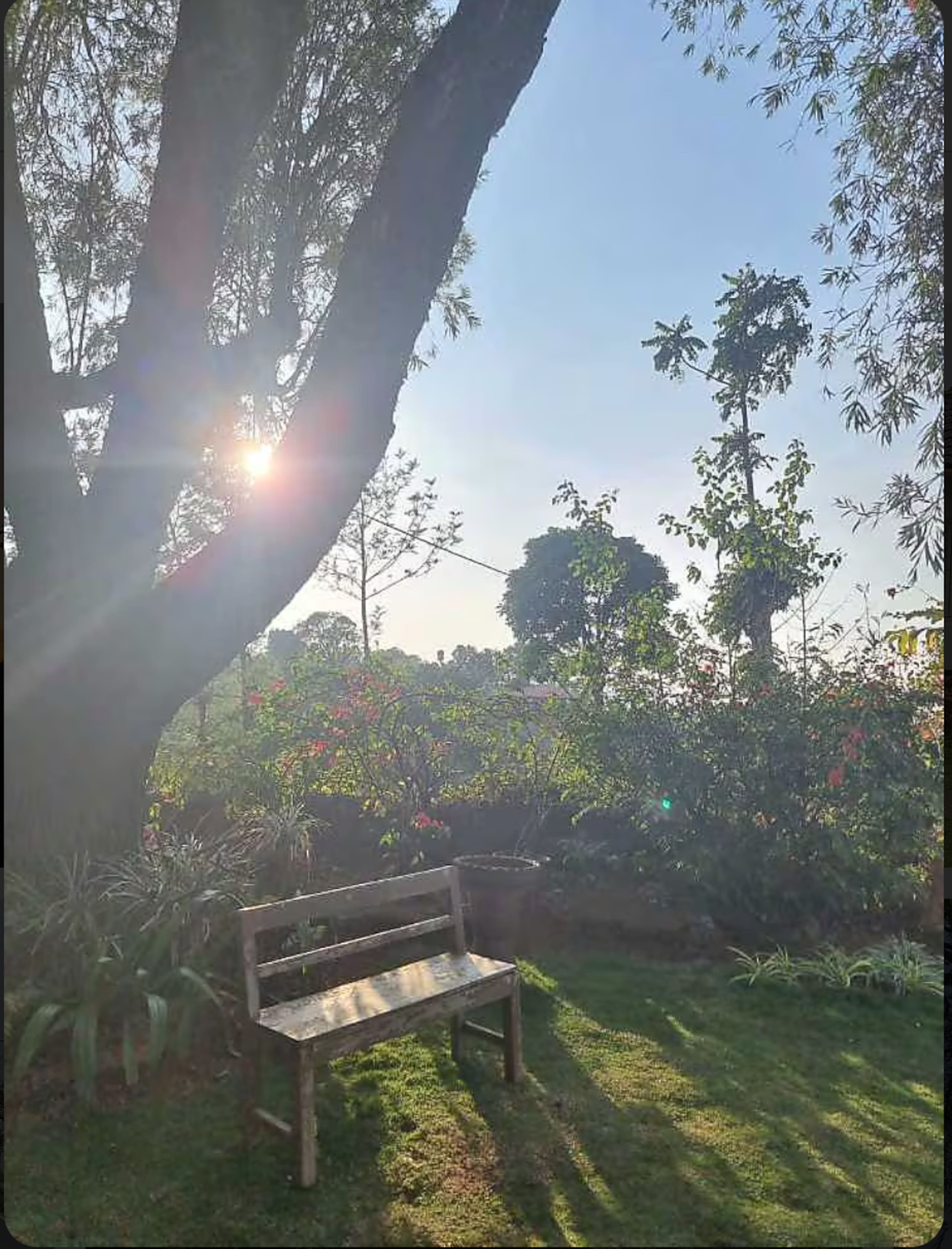 3BHK Heritage Villa @Madikeri-Sliceinn Pushpanjali 38