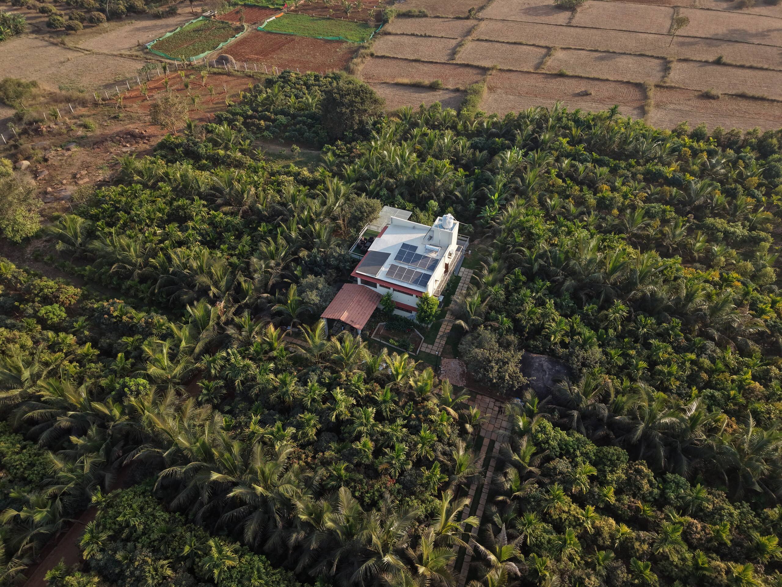 Luxury Farm by Trippy Bison — photo 3