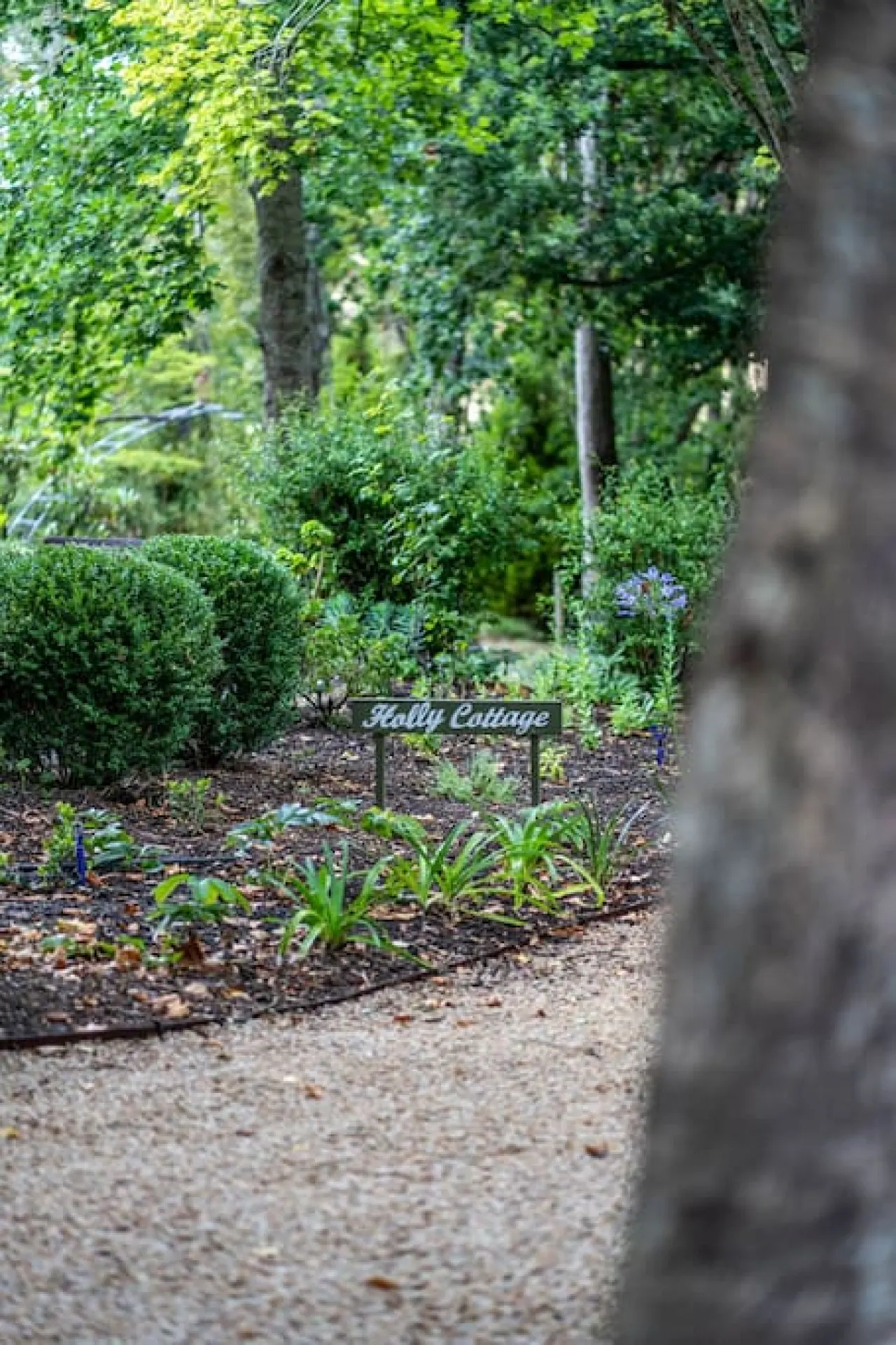 Holly Cottage—Historic Garden Serenity 11