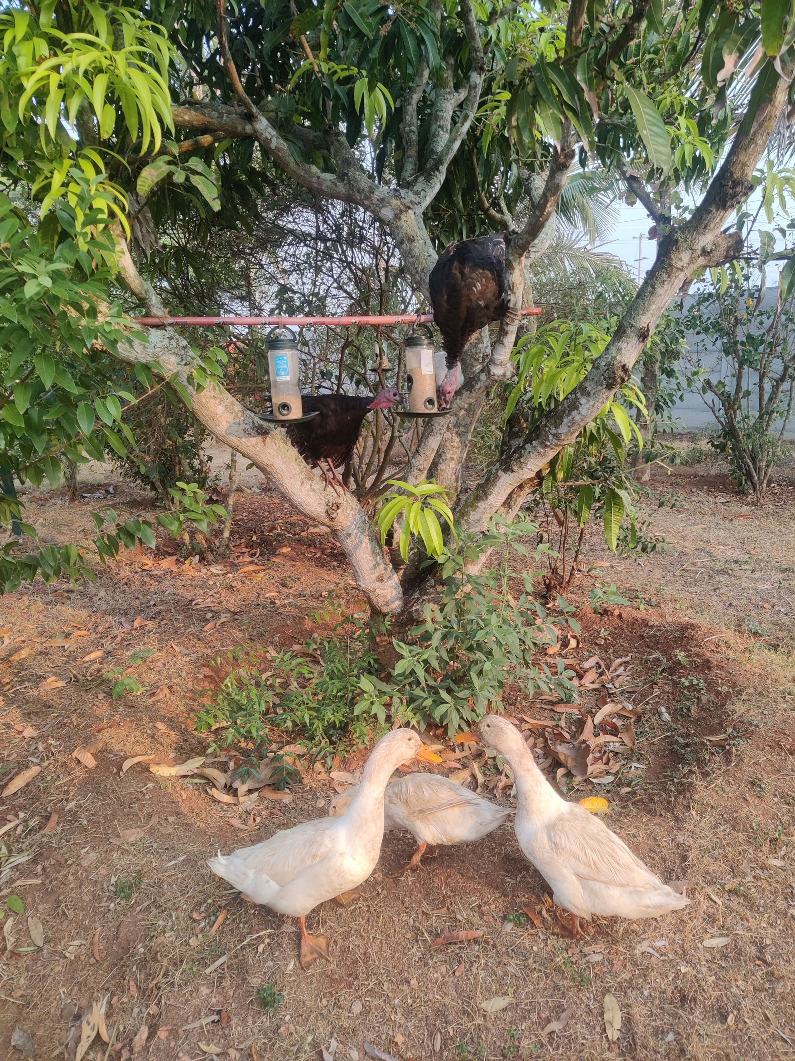 Aastha homestay bed and breakfast 26