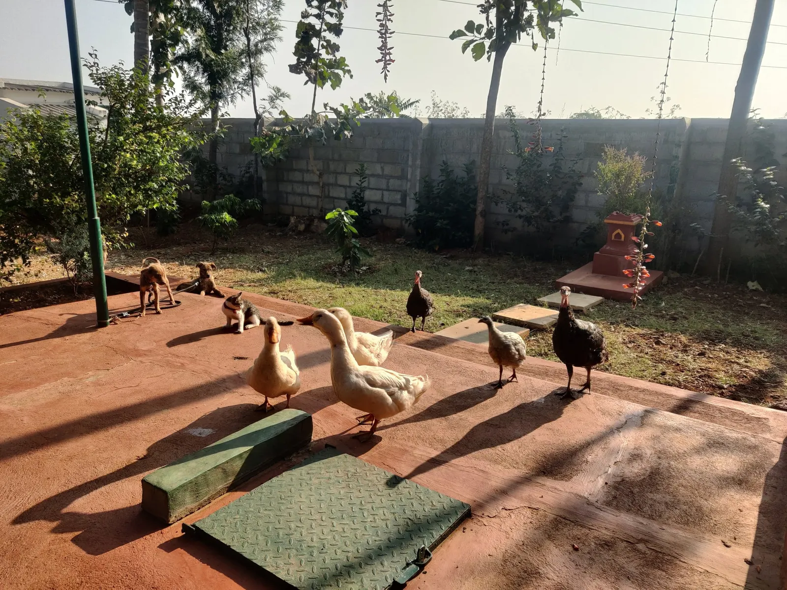 Aastha homestay bed and breakfast 28