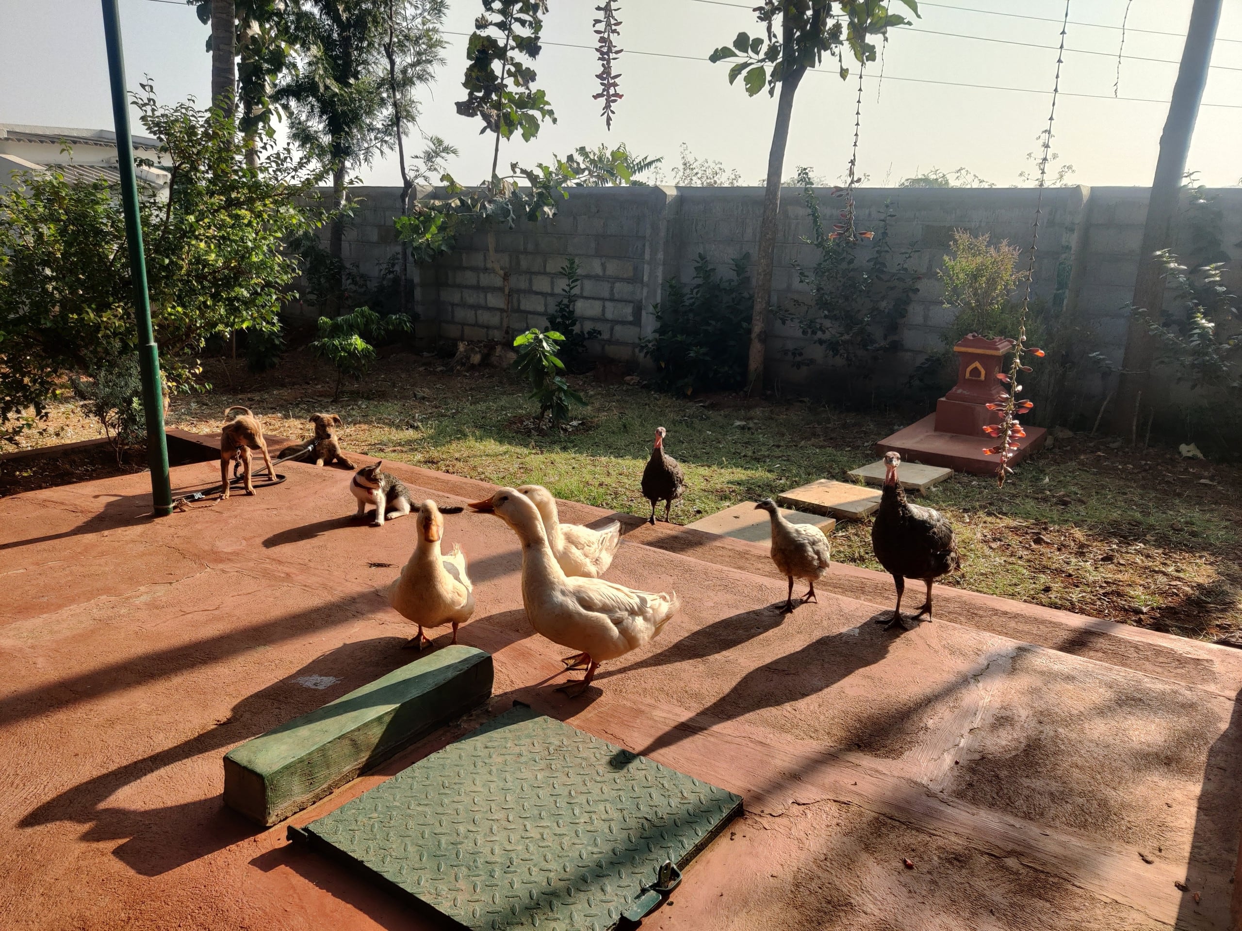 Aastha homestay bed and breakfast 28
