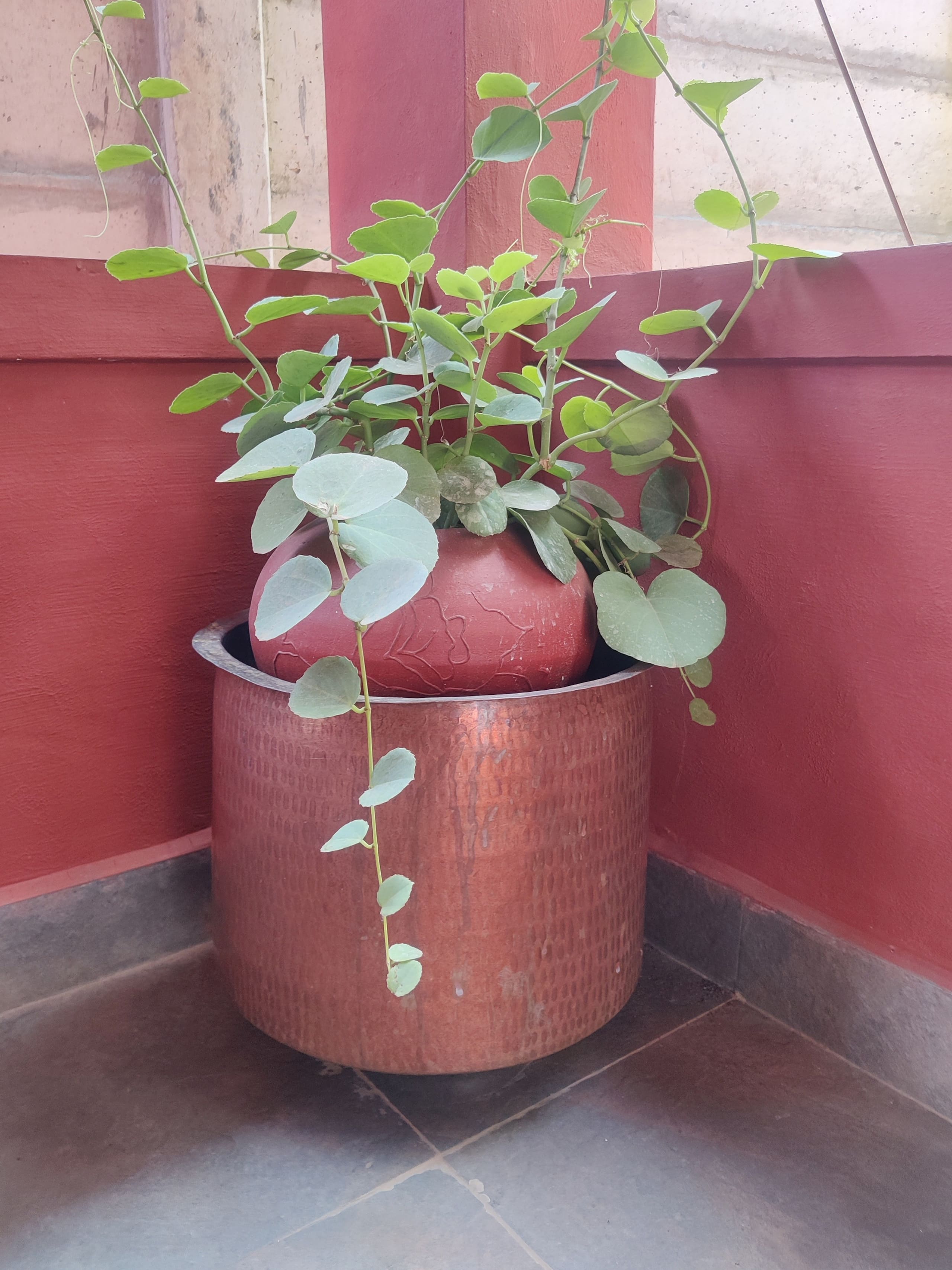 Aastha homestay bed and breakfast 14