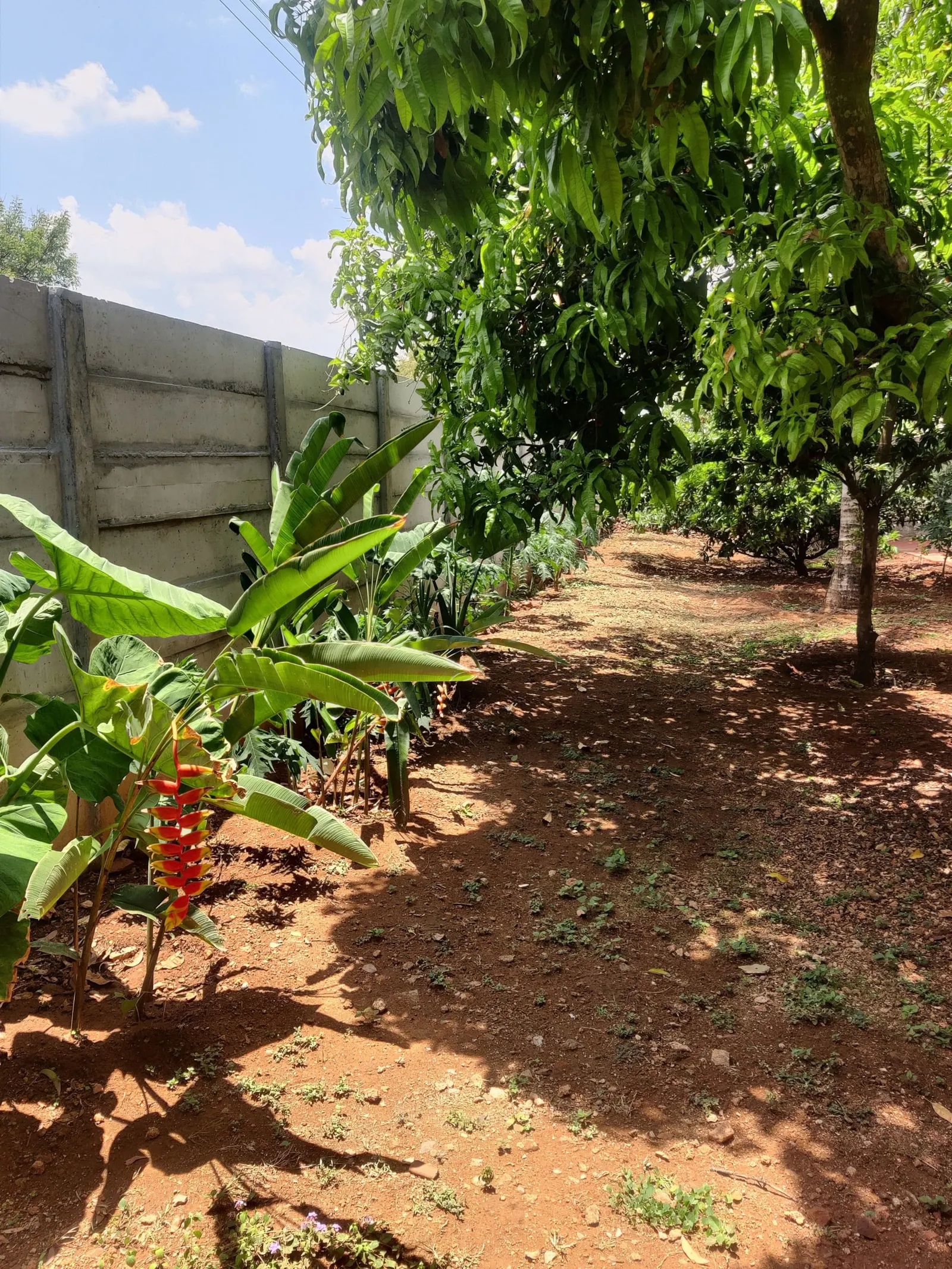 Aastha homestay bed and breakfast 15