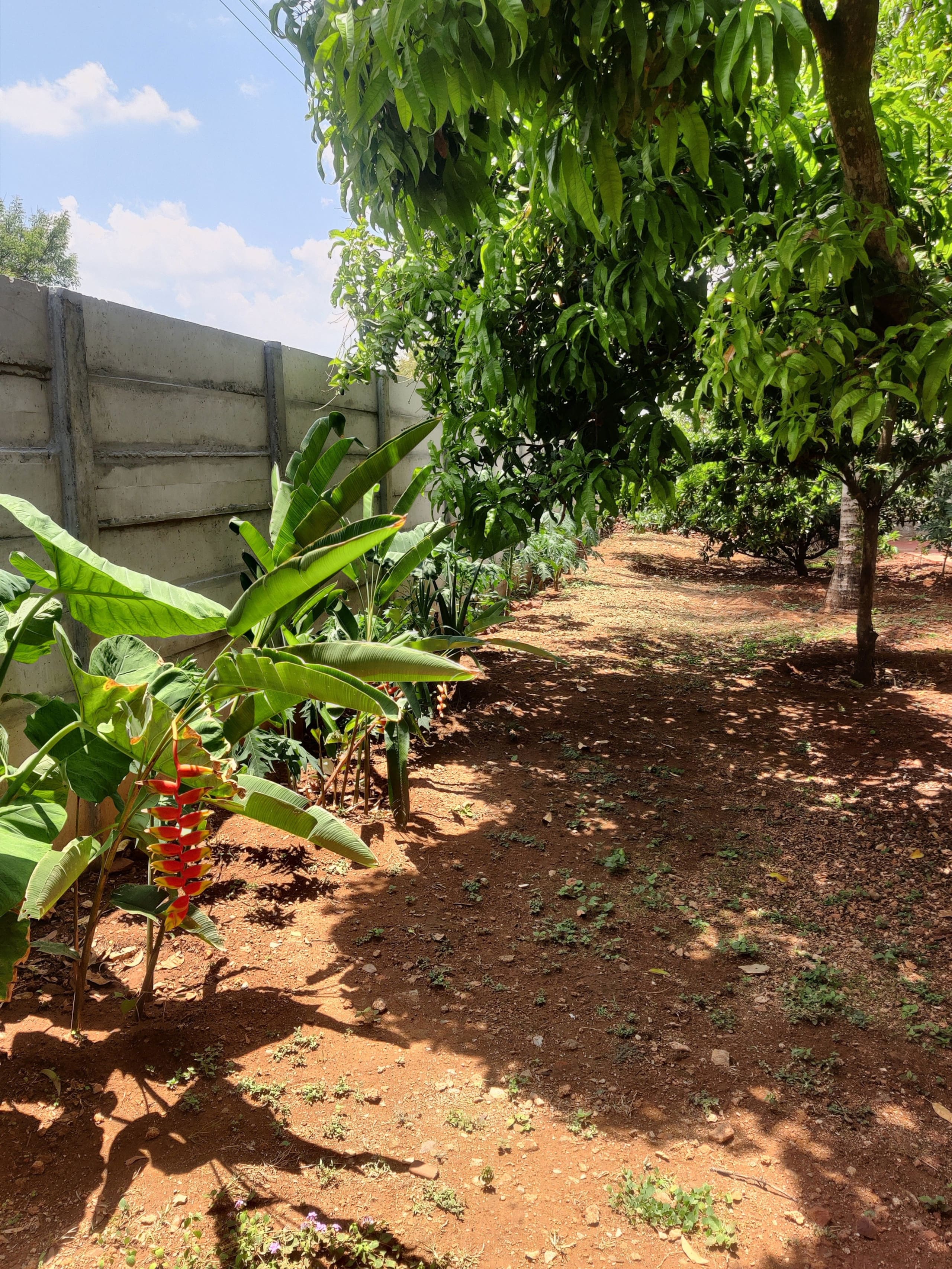 Aastha homestay bed and breakfast 15