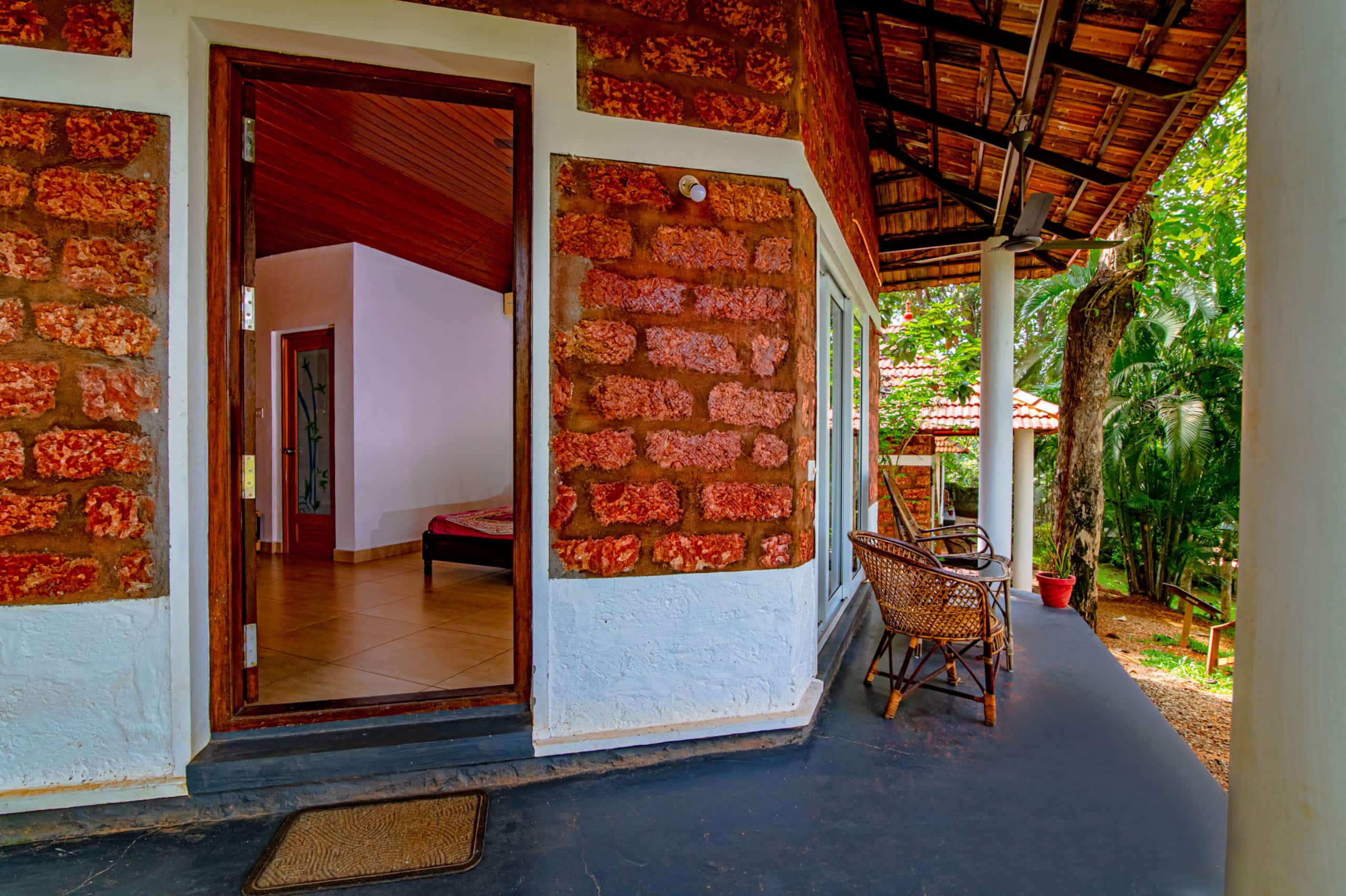 Peacock at Vishram Village, Varkala 7