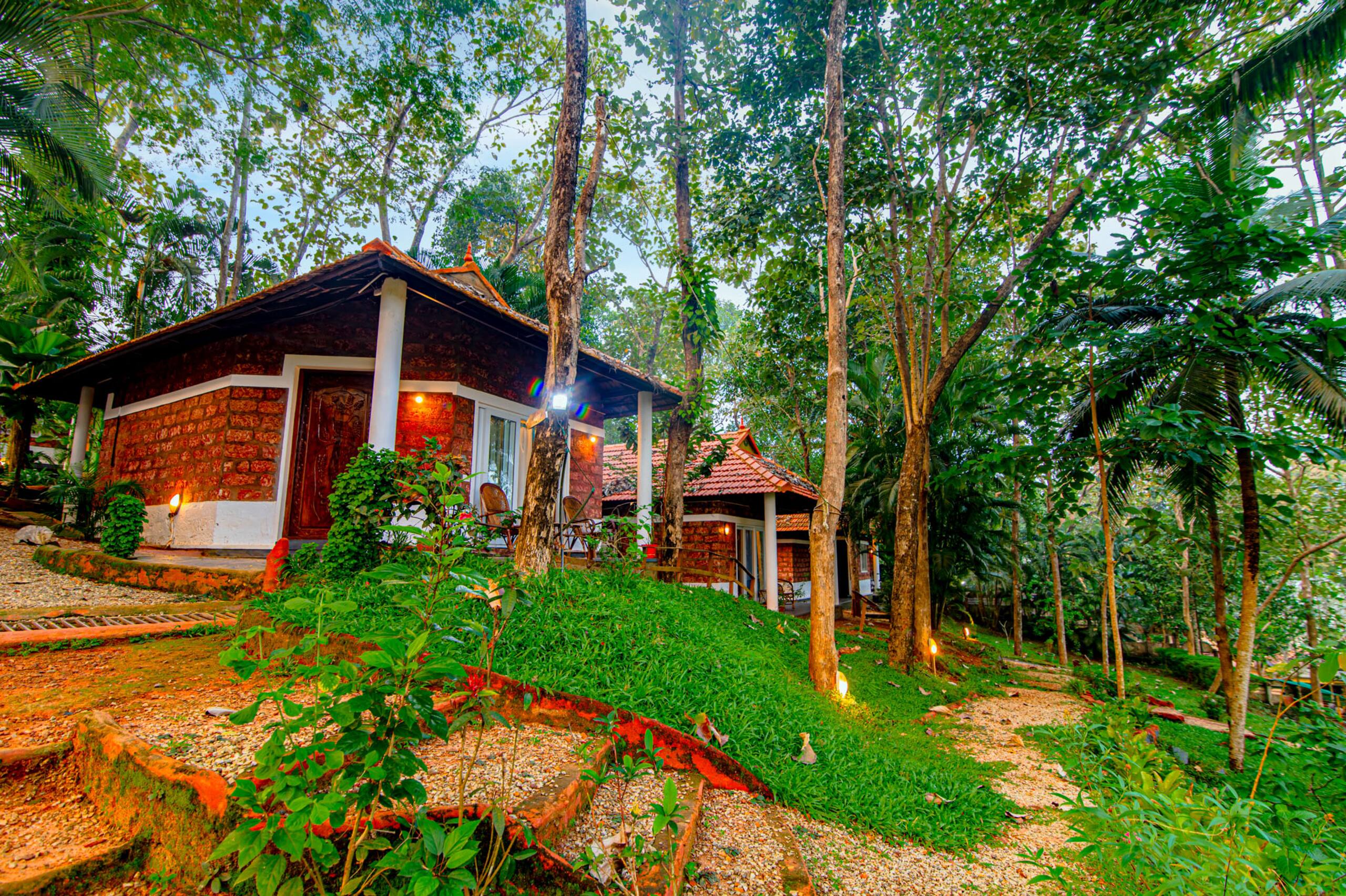 Peacock at Vishram Village, Varkala 15