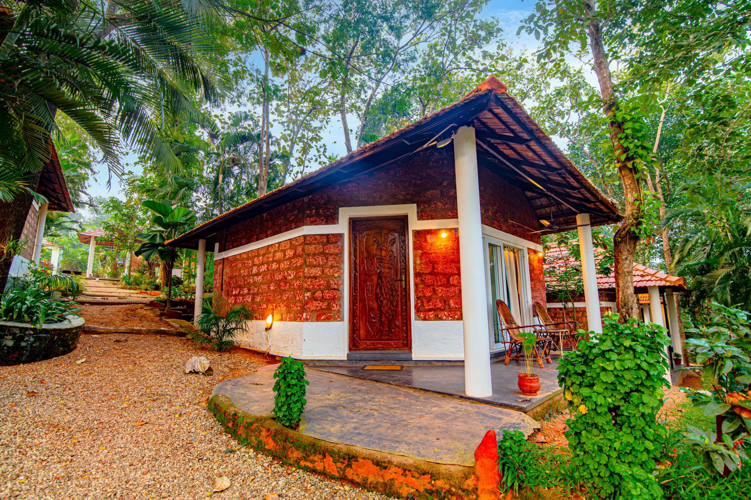 Peacock at Vishram Village, Varkala 3