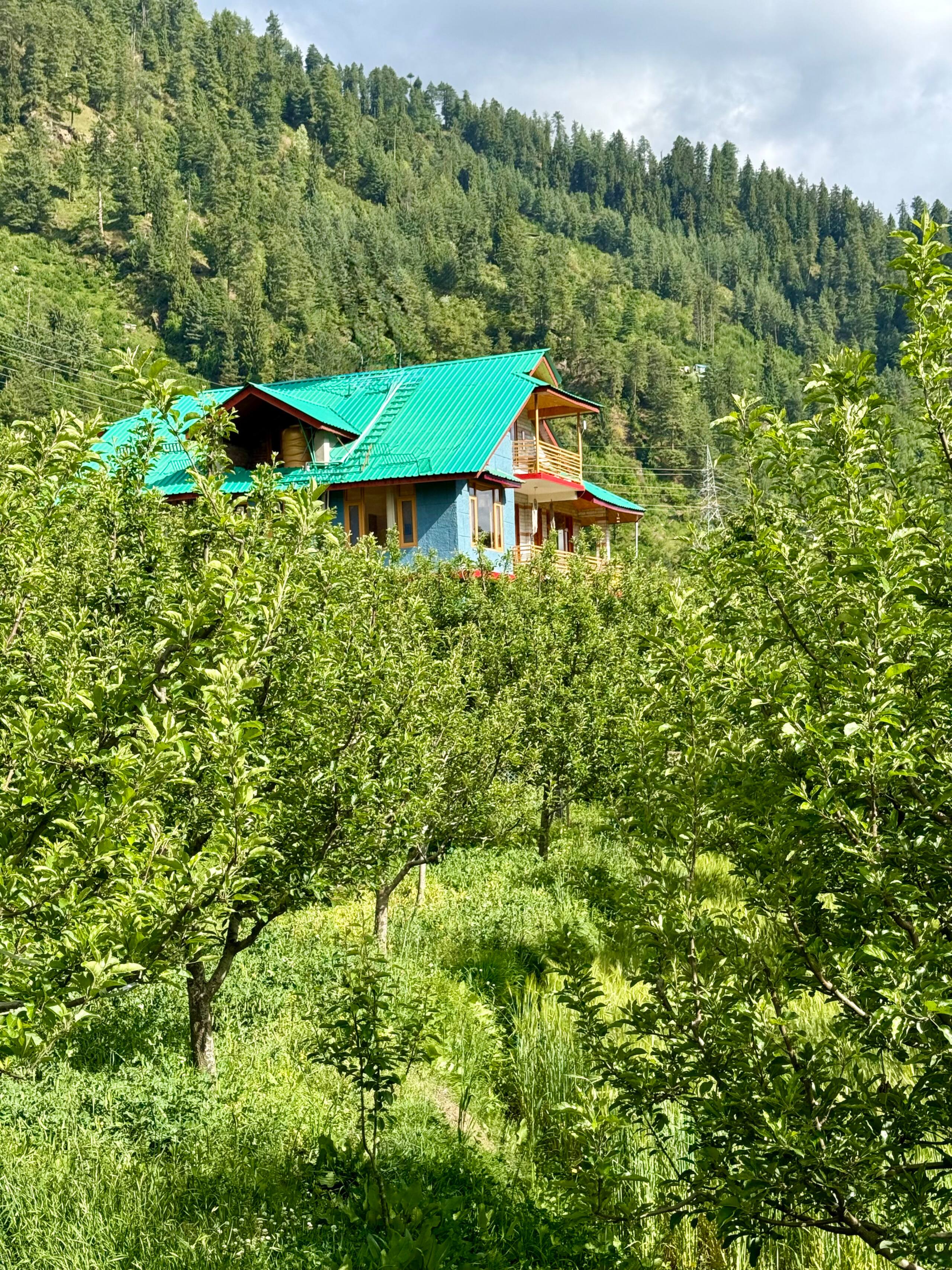 Entire house in a farm - The Julley Home — photo 2