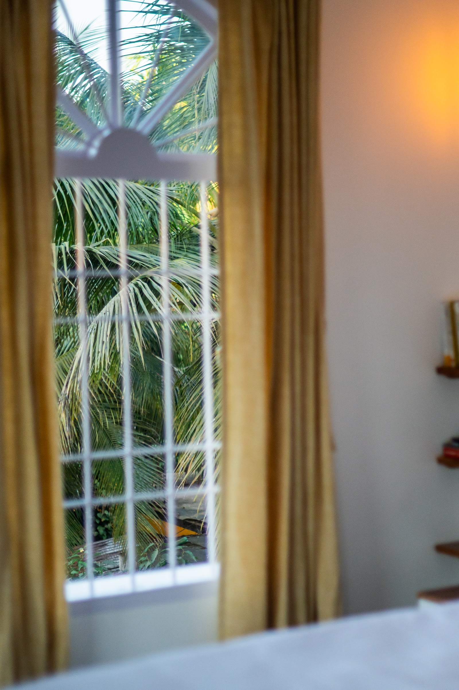 Casa De Alegria Goa / Palm 6
