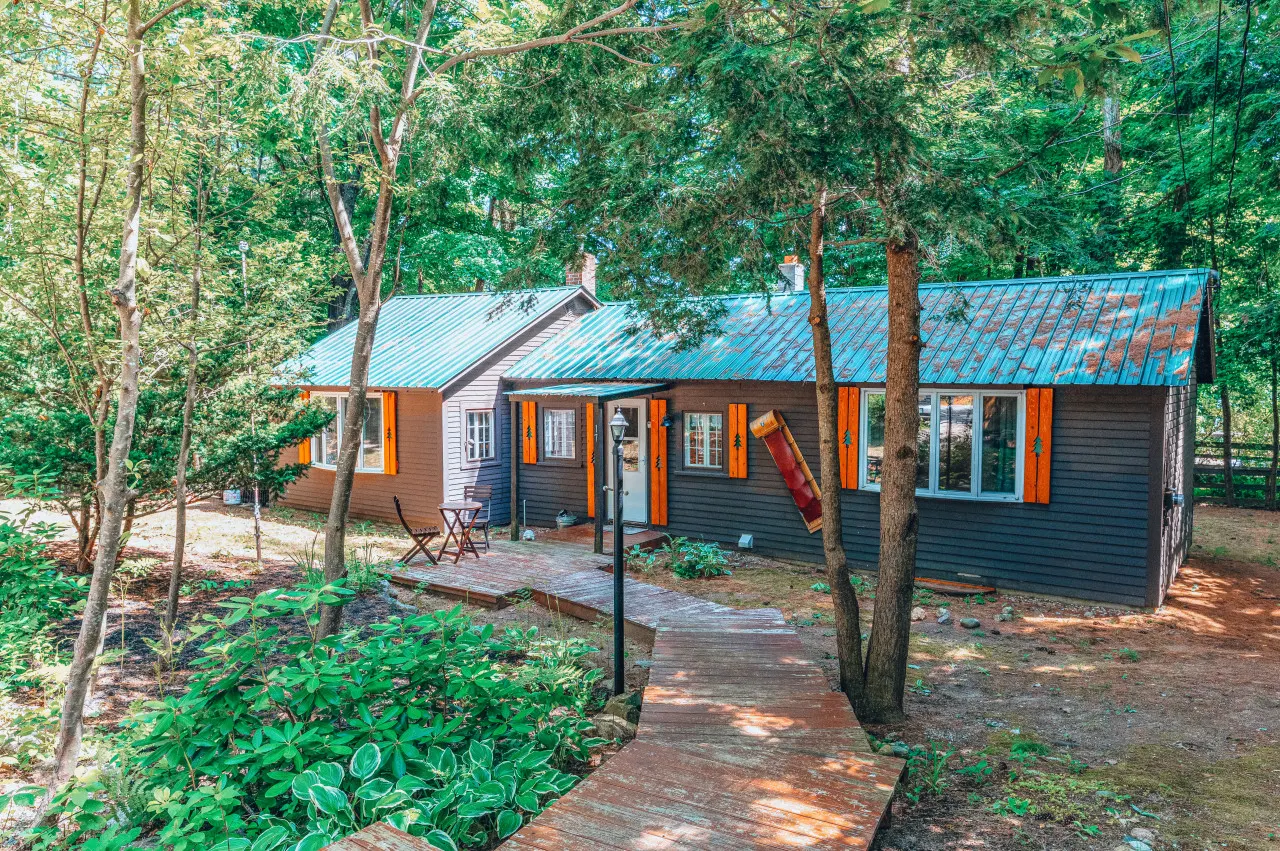 Cozy dog friendly cabin moments from Cranmore/NOCO