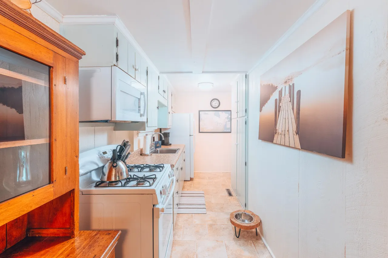 Cozy dog friendly cabin moments from Cranmore/NOCO 14