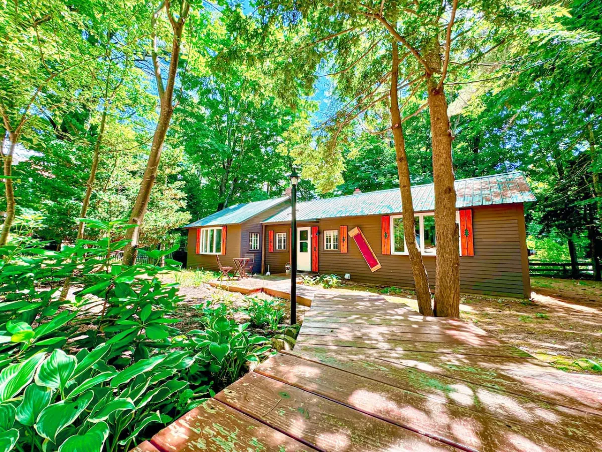 Cozy dog friendly cabin moments from Cranmore/NOCO 16