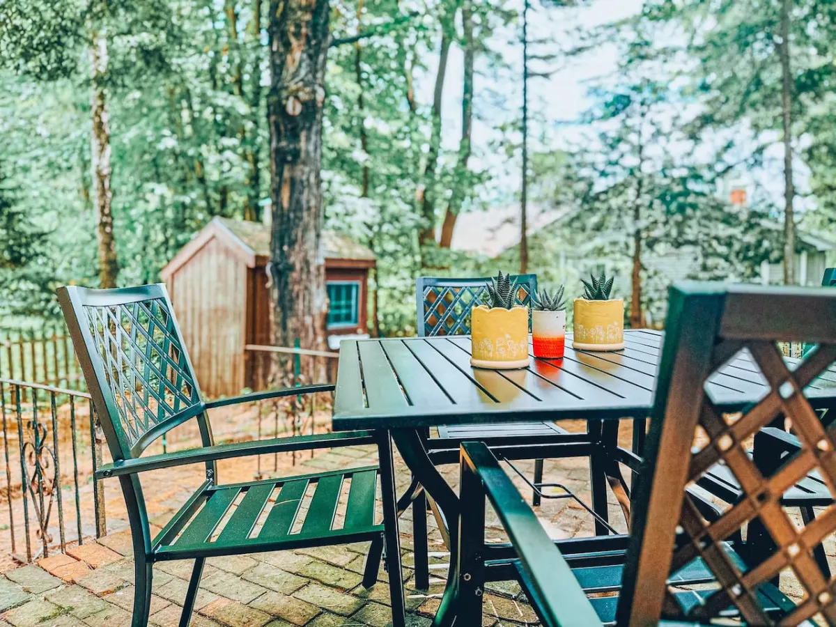 Cozy dog friendly cabin moments from Cranmore/NOCO 4