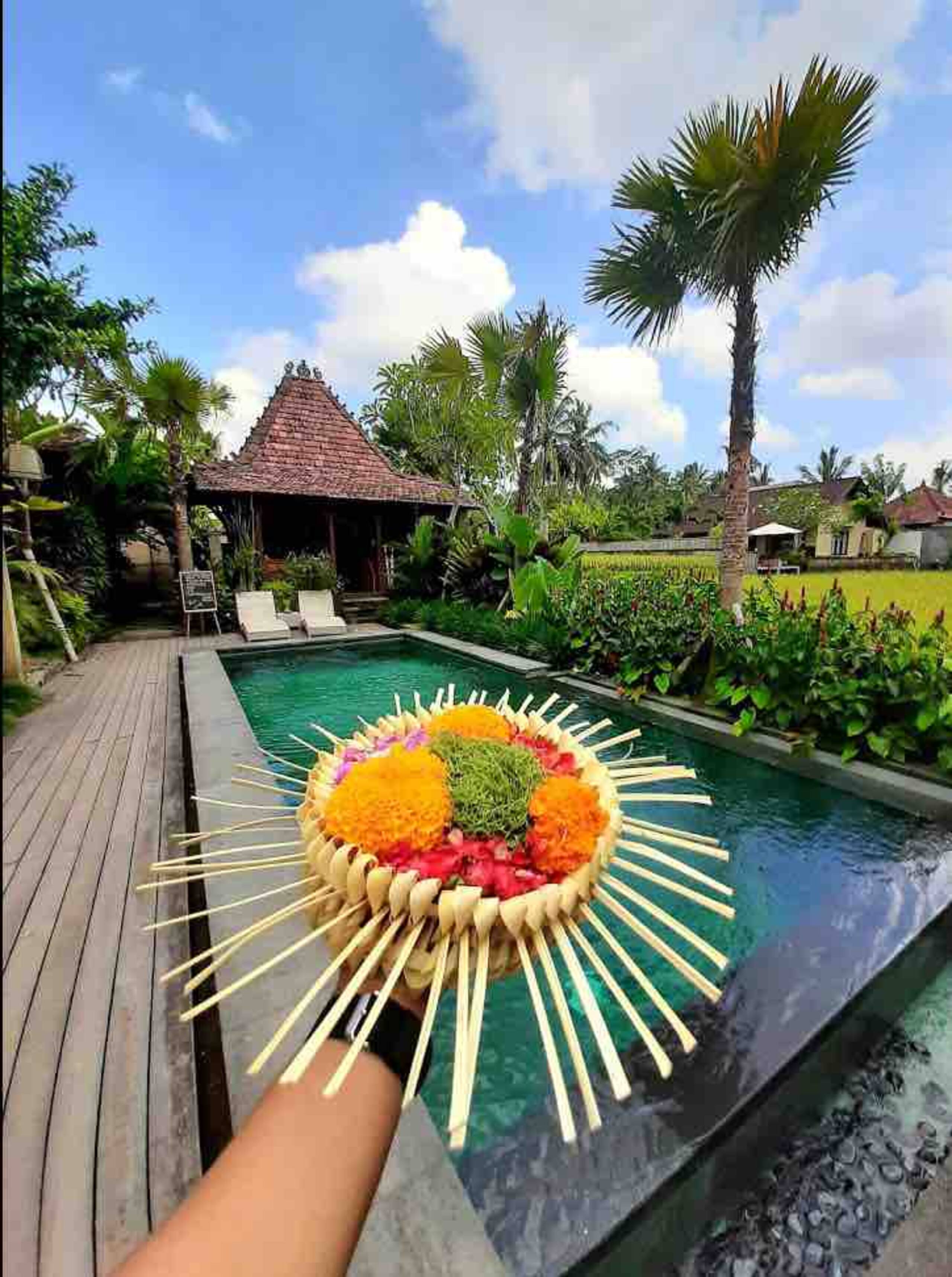 Wooden house w private kitchen and pool view — photo 2