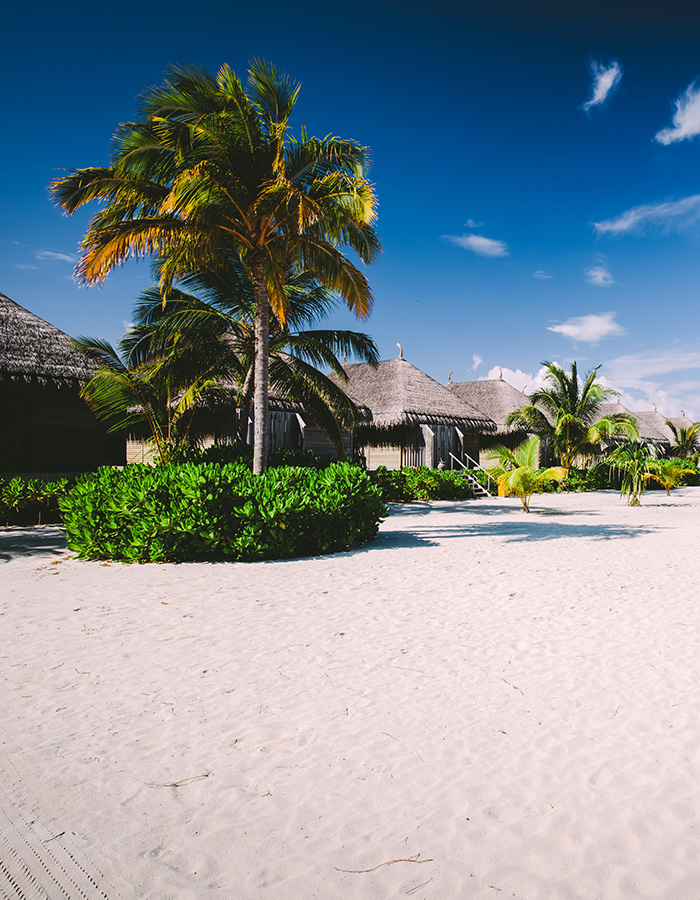 Agonda Palm beach resort\nDeluxe room with balcony 15