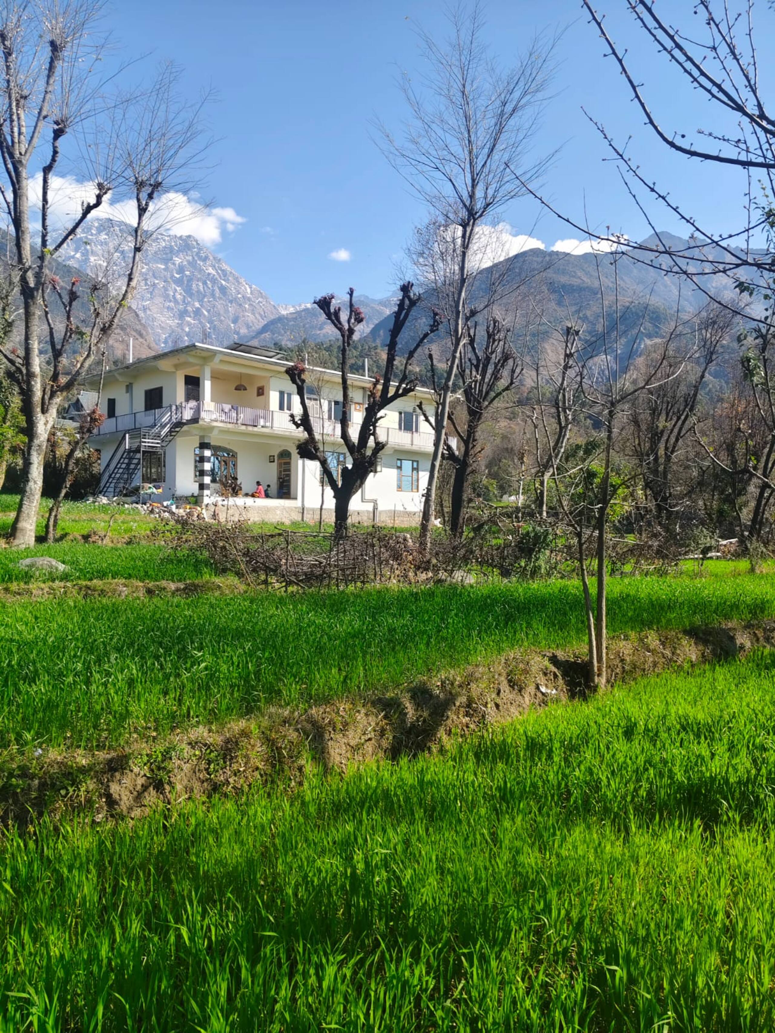Ahmiyat - Nature View Apartment 12