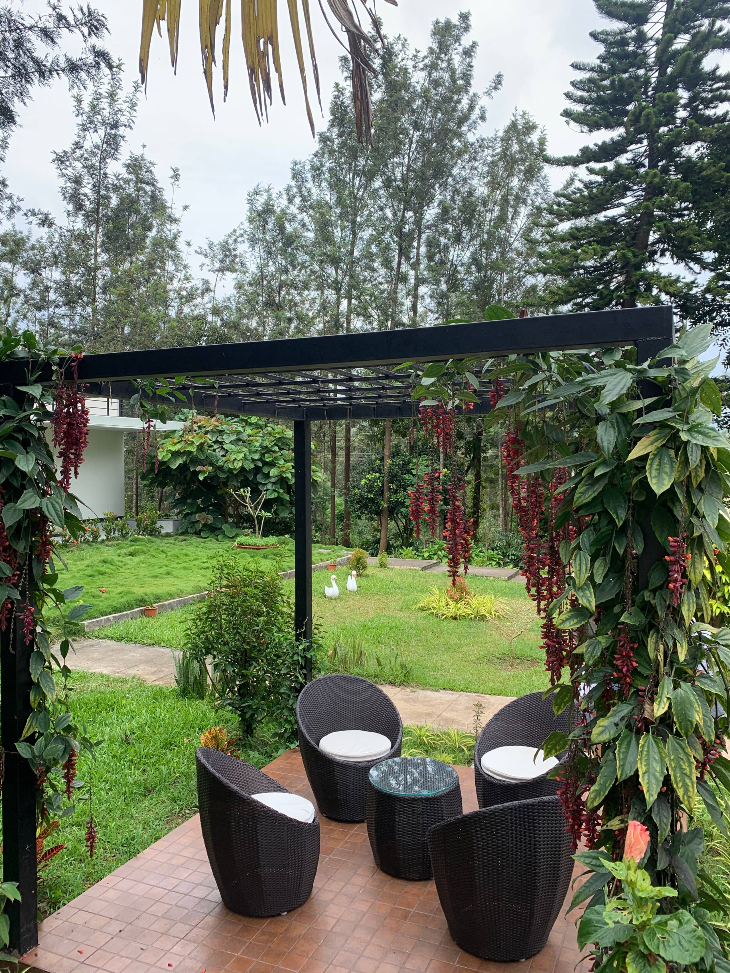 Livingston homestay - twin cottages - Chikmagalur 34