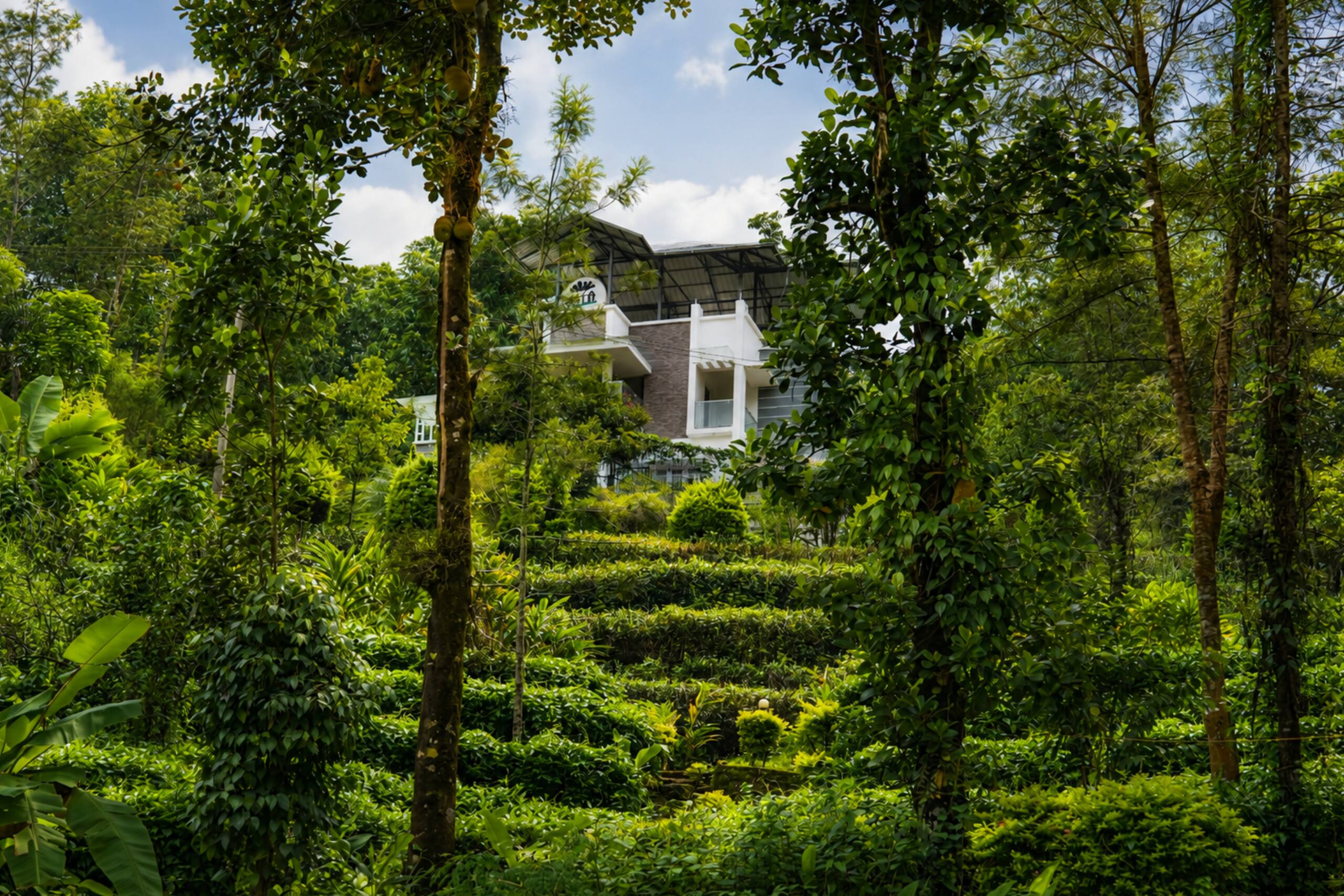 Stone House, Silver Oaks Nature Retreat 34
