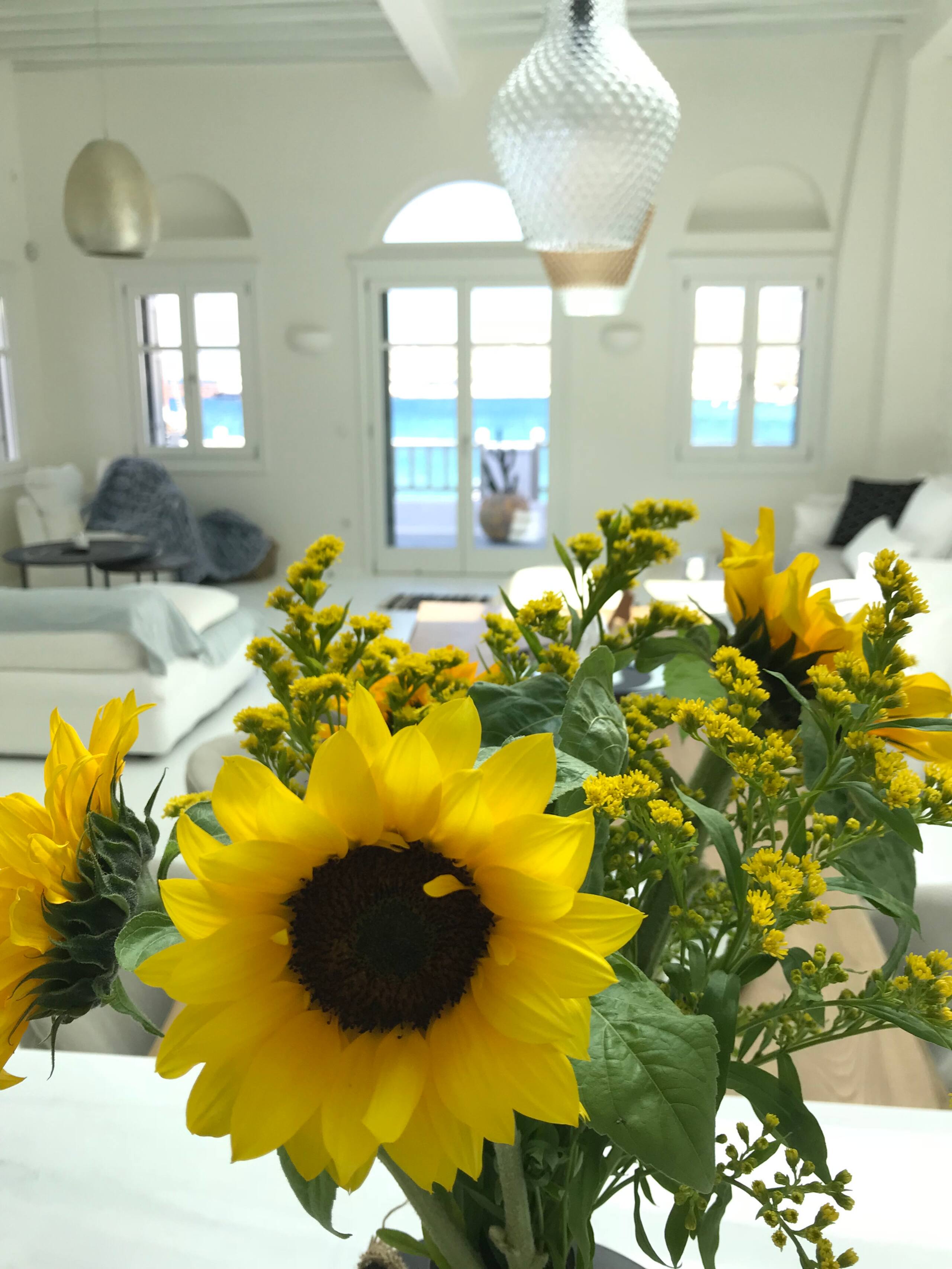 Pnoe Seafront Residence, Mykonos Town 13