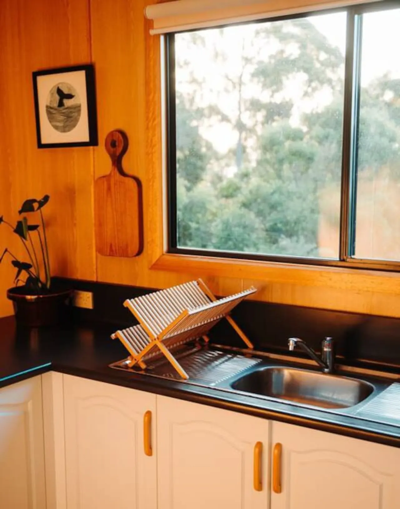 Kelp Cabin - White Beach 14