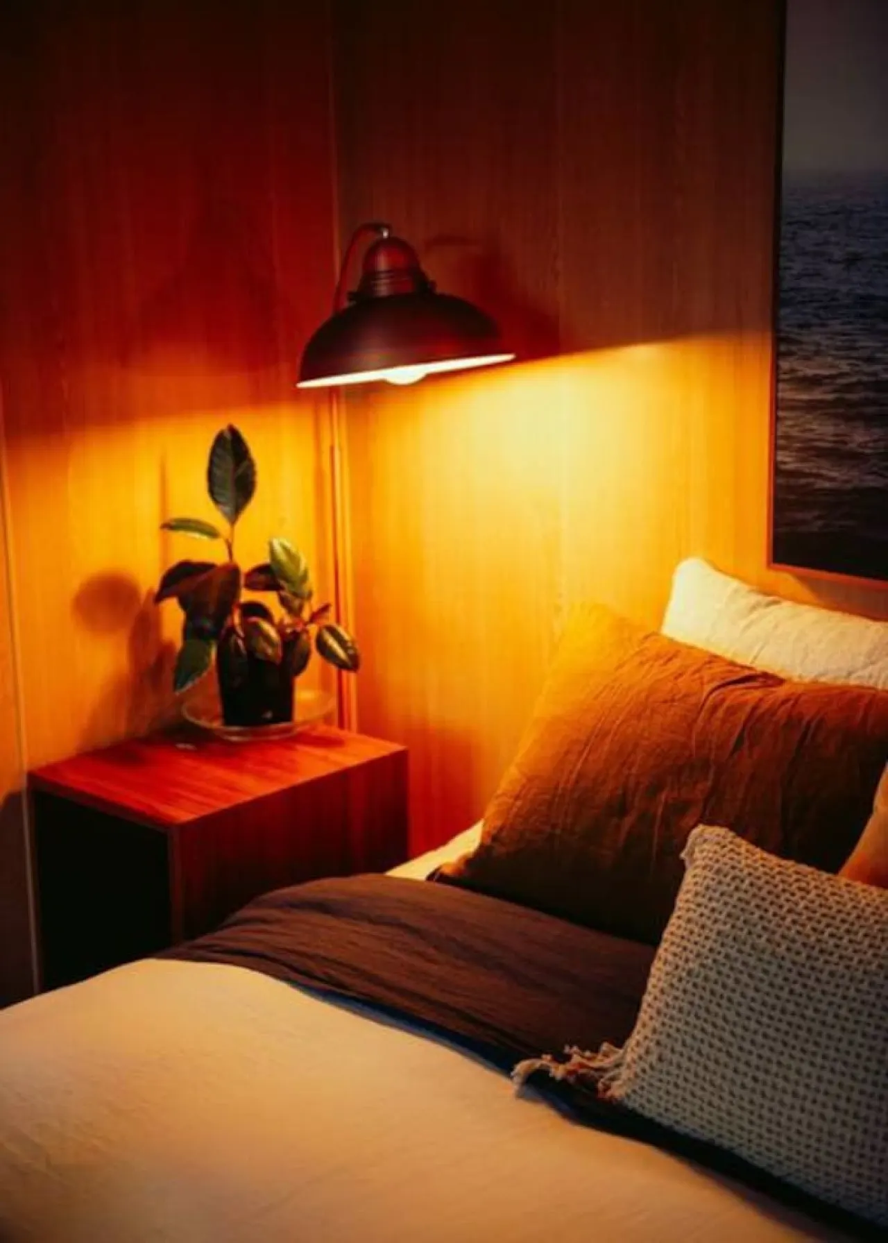 Kelp Cabin - White Beach 18