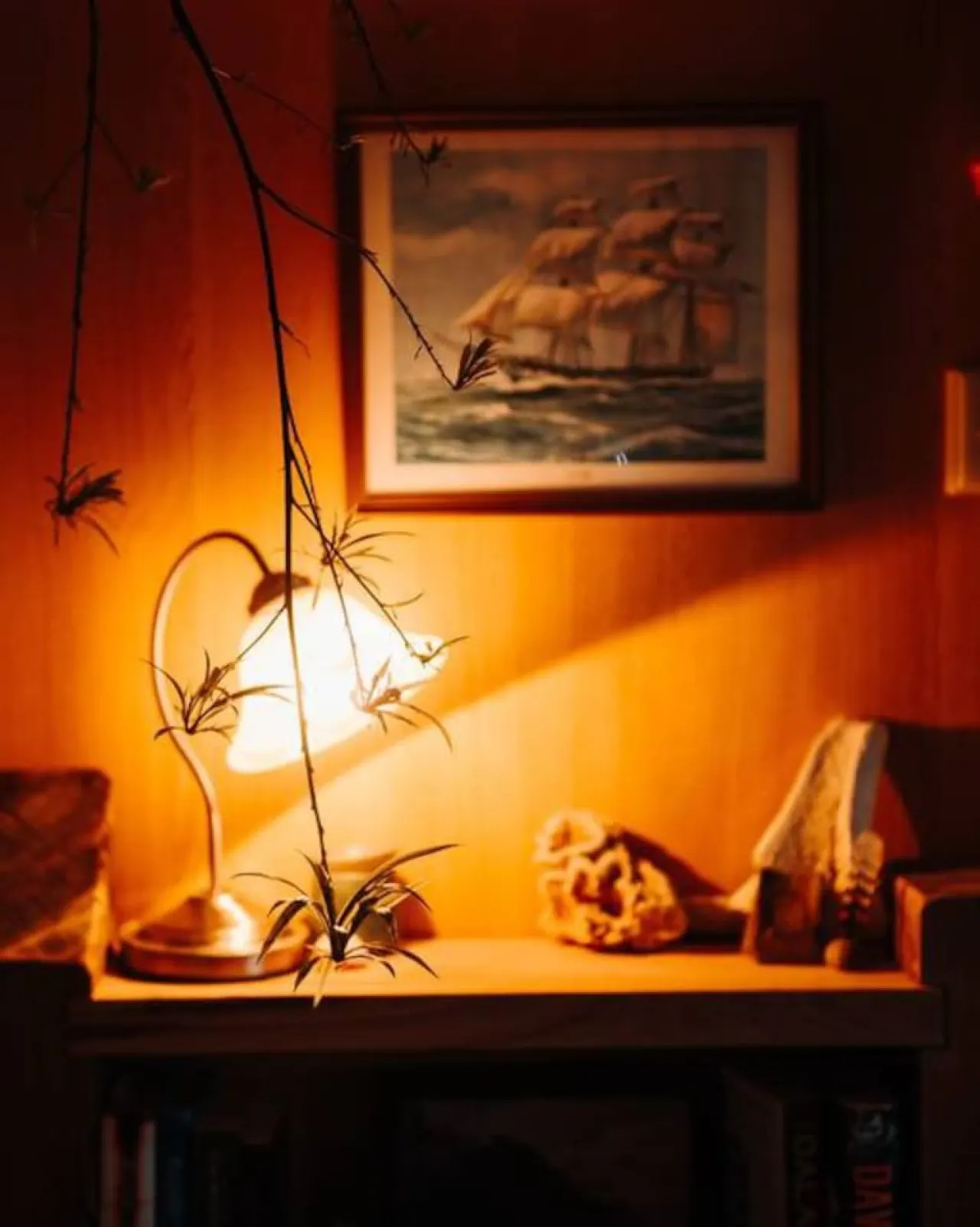 Kelp Cabin - White Beach 6