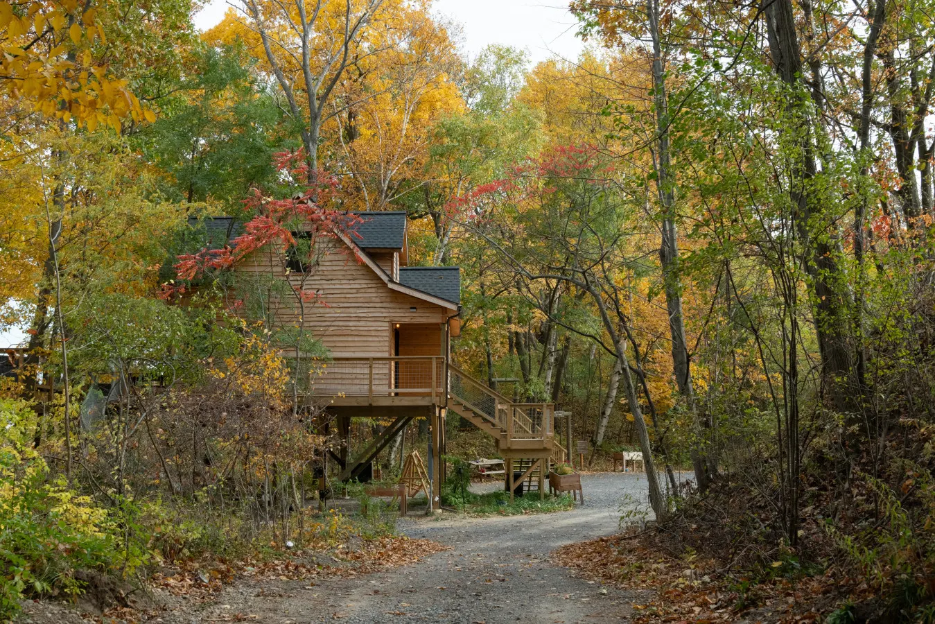 Lakefront Treehouse - Osprey Landing