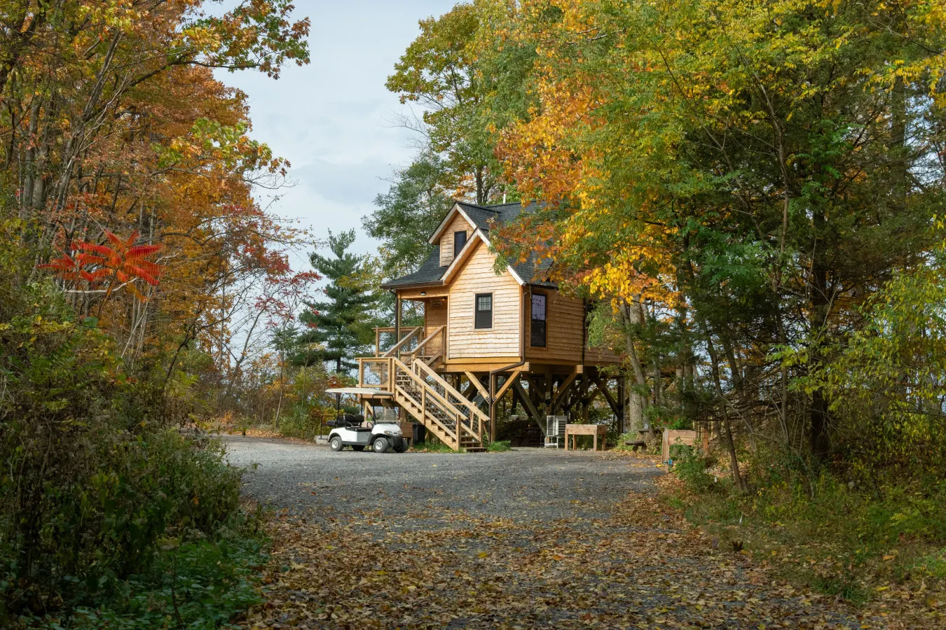 Lakefront Treehouse - Osprey Landing — photo 2