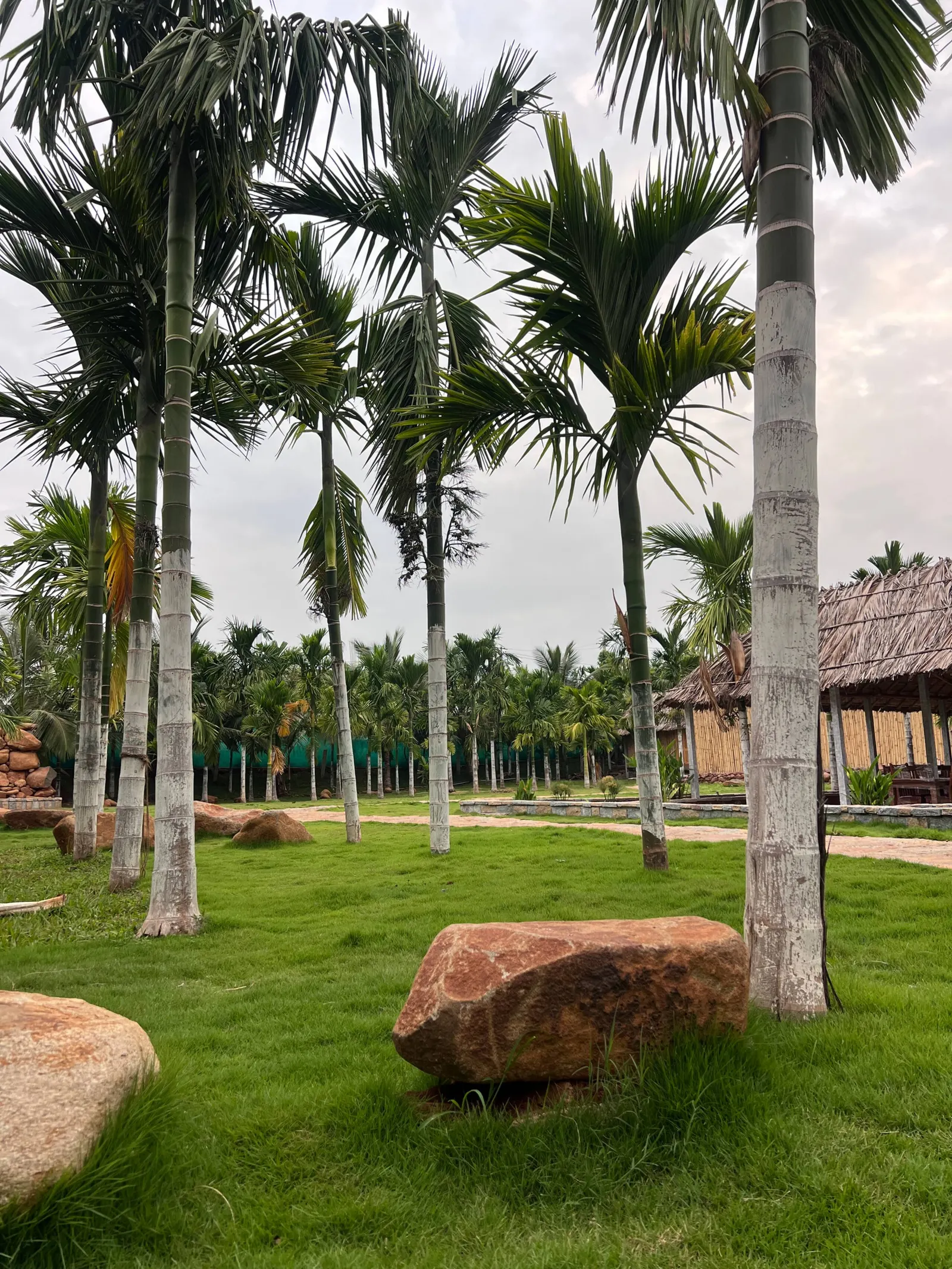 Bamboo Arcadia- Beautiful Pvt farm cottages w pool