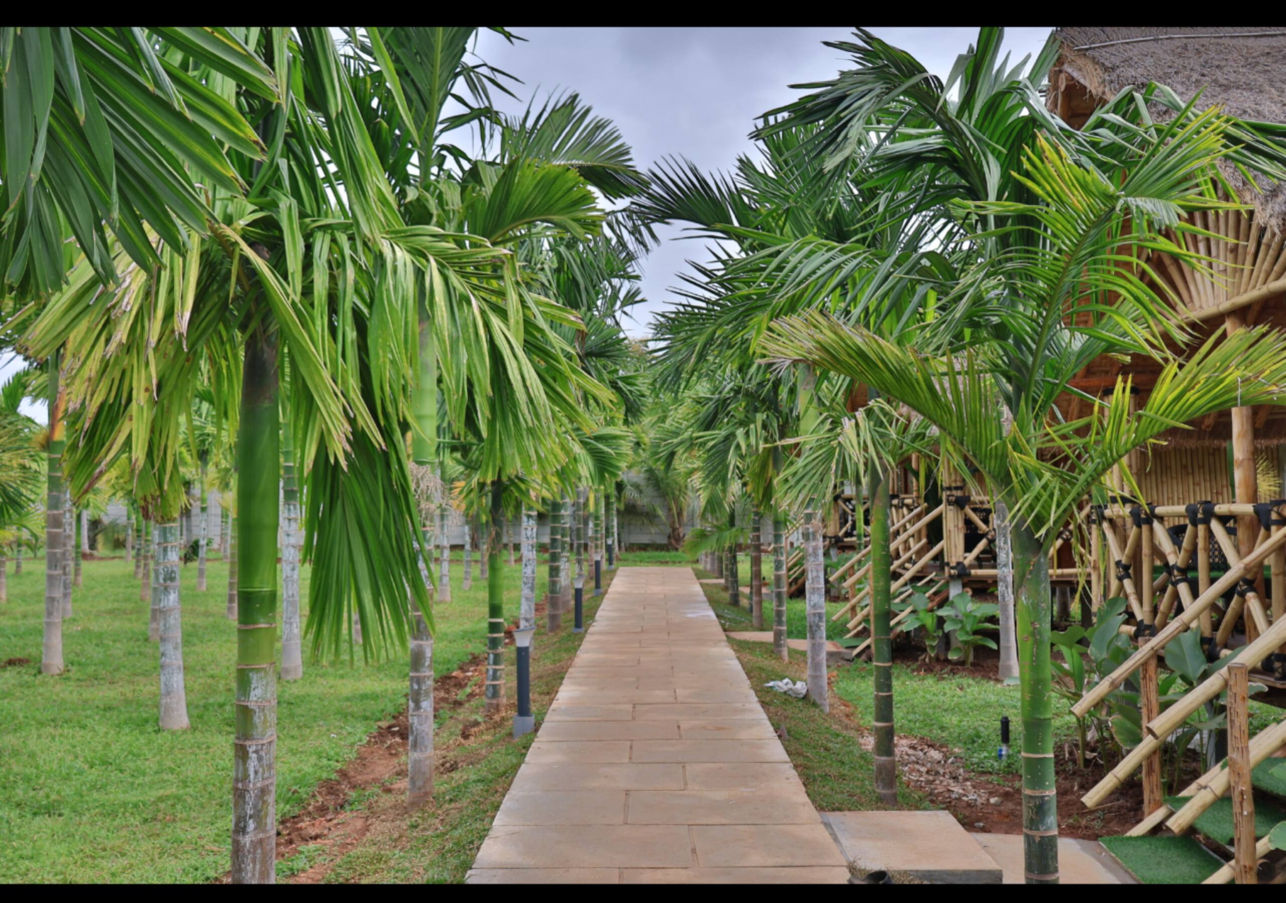 Bamboo Arcadia- Beautiful Pvt farm cottages w pool 17