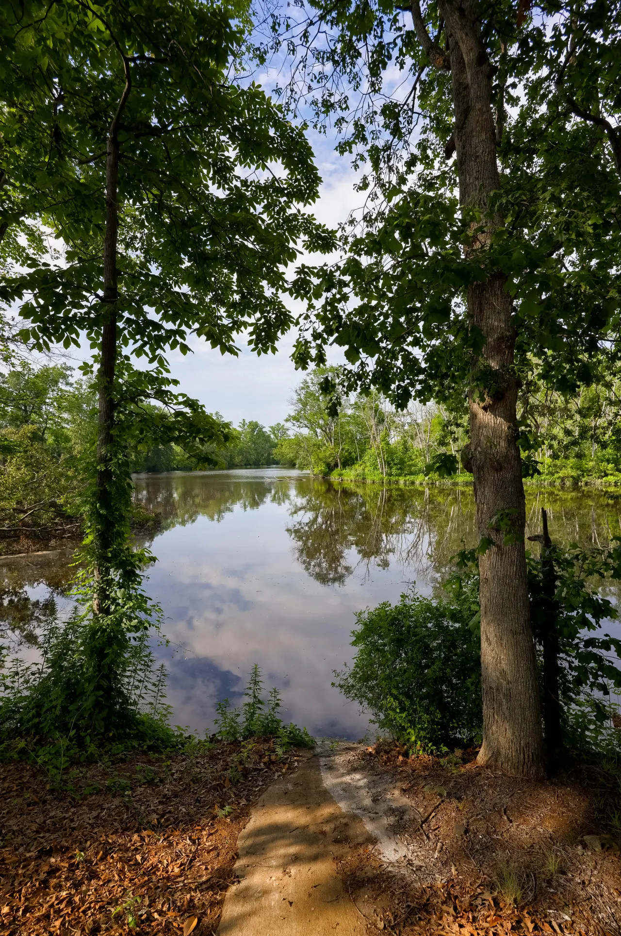 River Heights Retreat with pool/hot tub 16