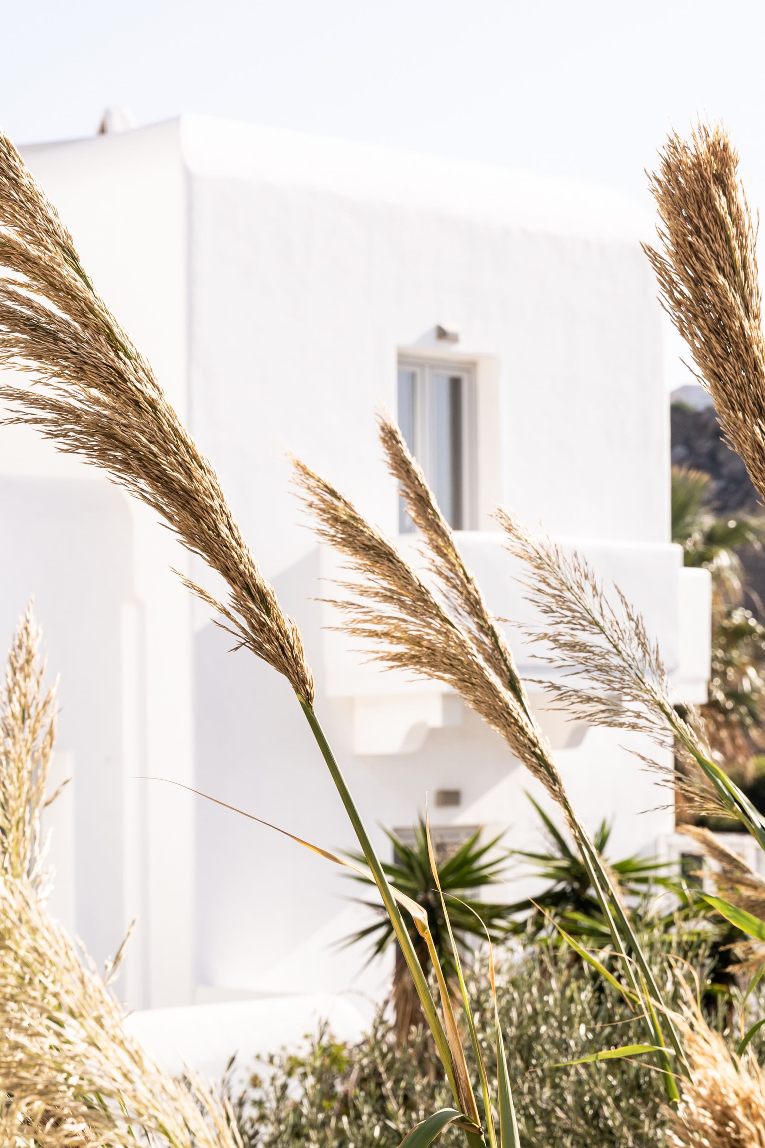 Tagoo studios mykonos 3 21