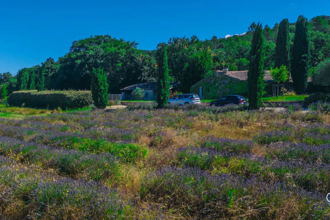 Bergerie de Lussan 12