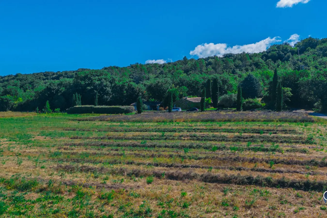 Bergerie de Lussan 14
