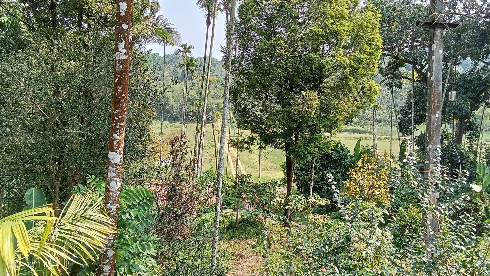 Diamond Villas Wayanad (Entire Villa) 21