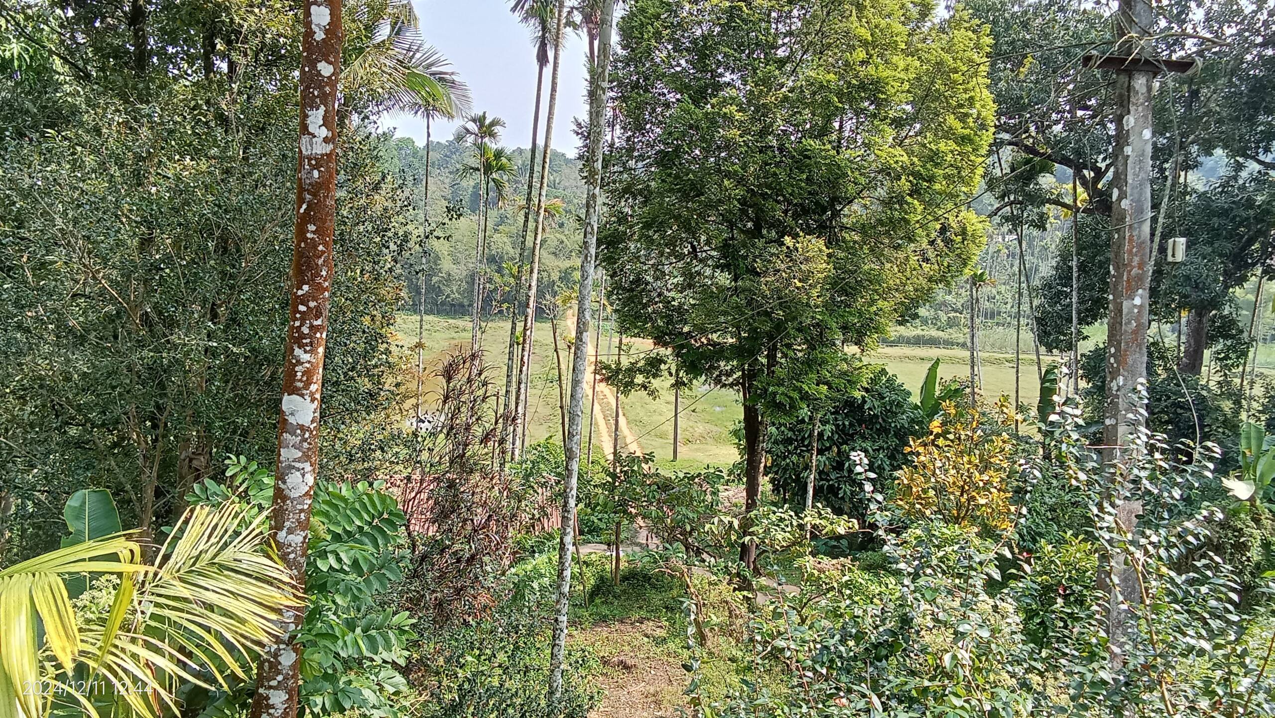 Diamond Villas Wayanad (Entire Villa) 21