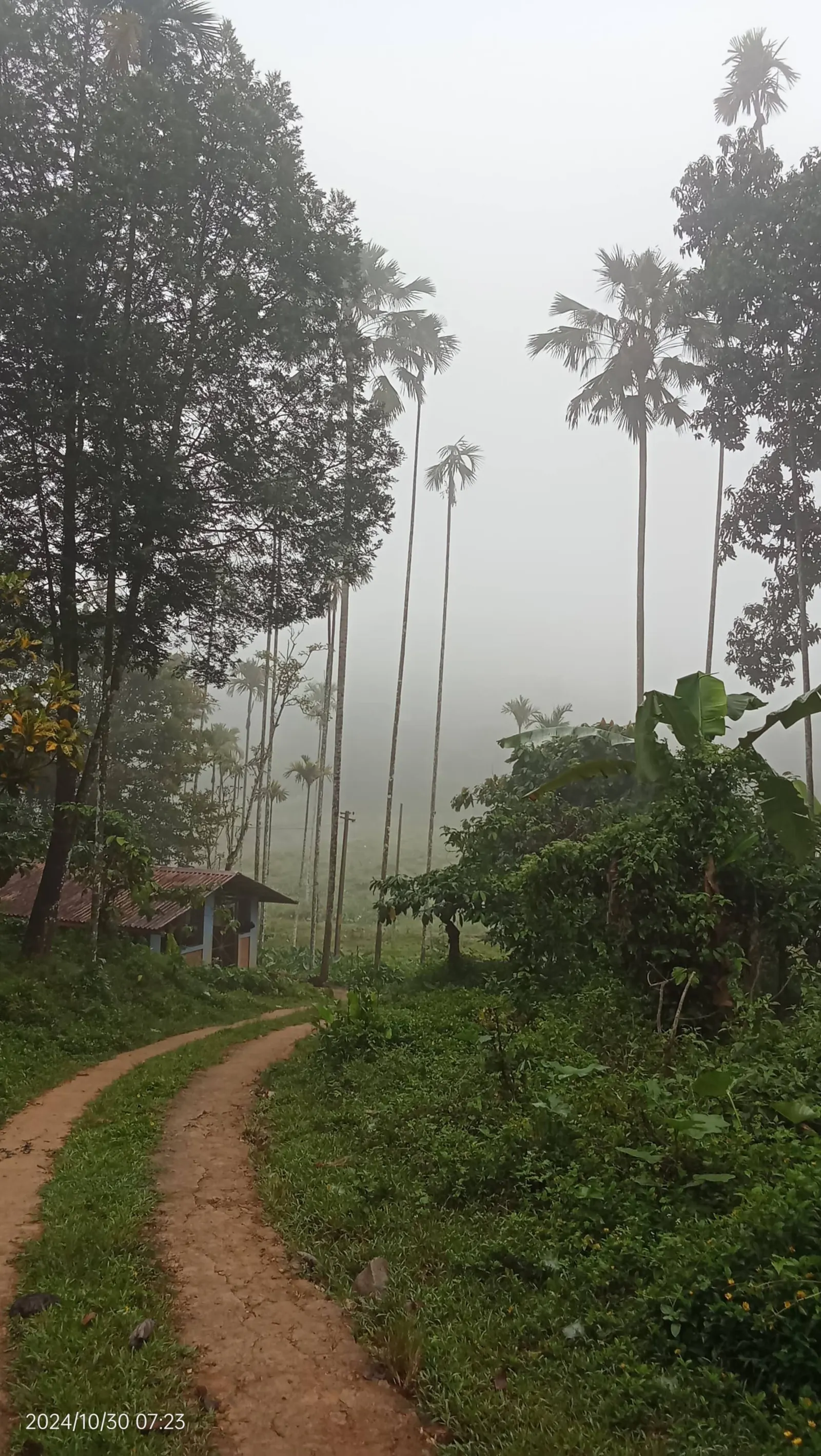 Diamond Villas Wayanad (Entire Villa) 20