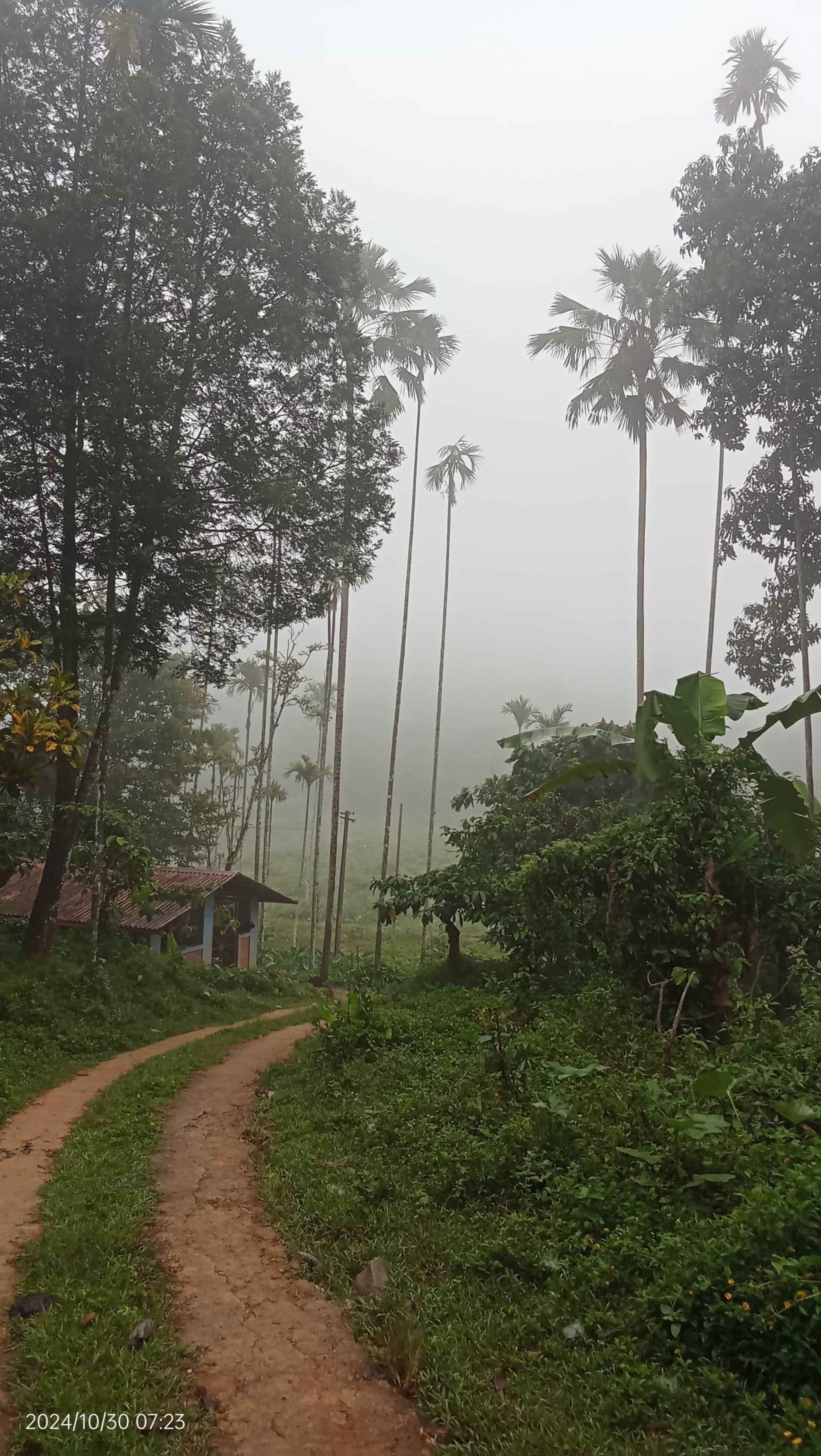 Diamond Villas Wayanad (Entire Villa) 20