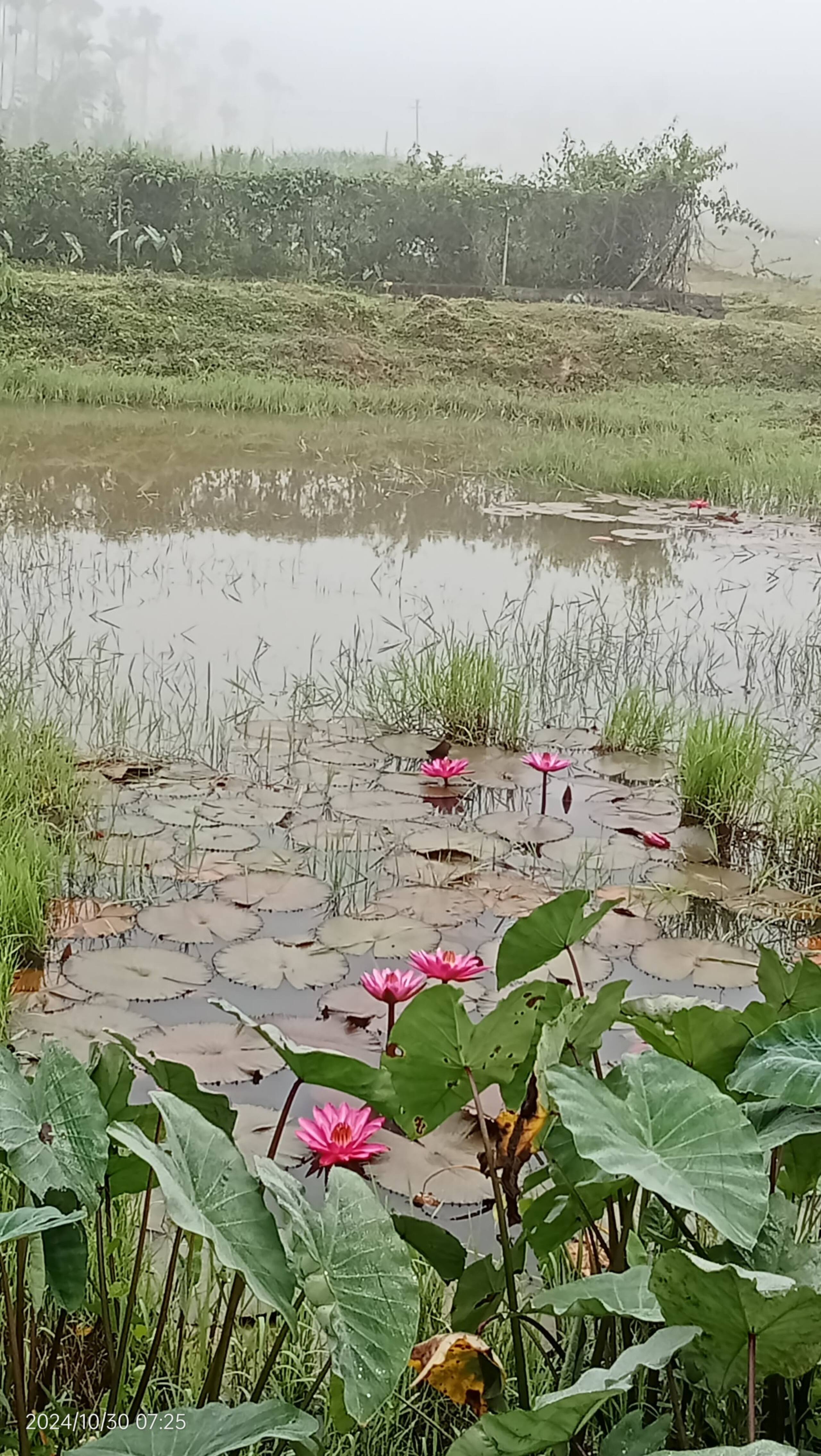 Diamond Villas Wayanad (Entire Villa) 19