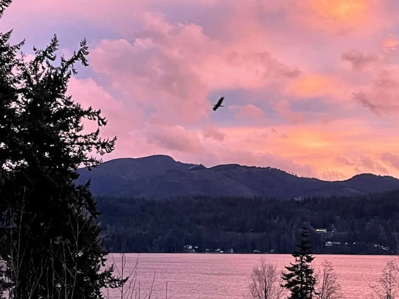 Hilltop Home on Lake Whatcom Views, Beach Access & Space for Ten 7