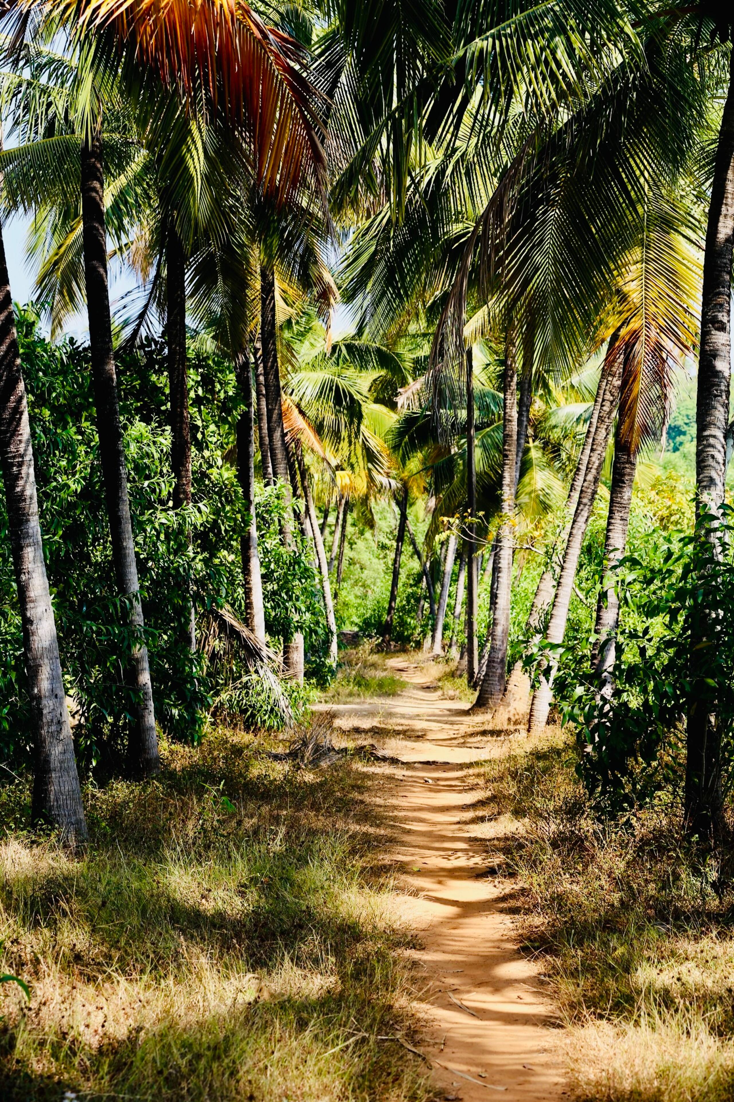 Cozy & bright sweet home close to Patnem beach 33