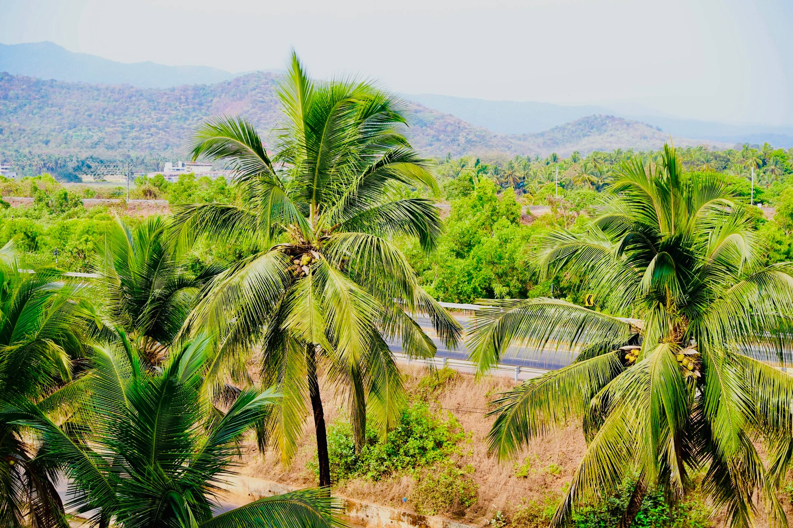Cozy & bright sweet home close to Patnem beach 19
