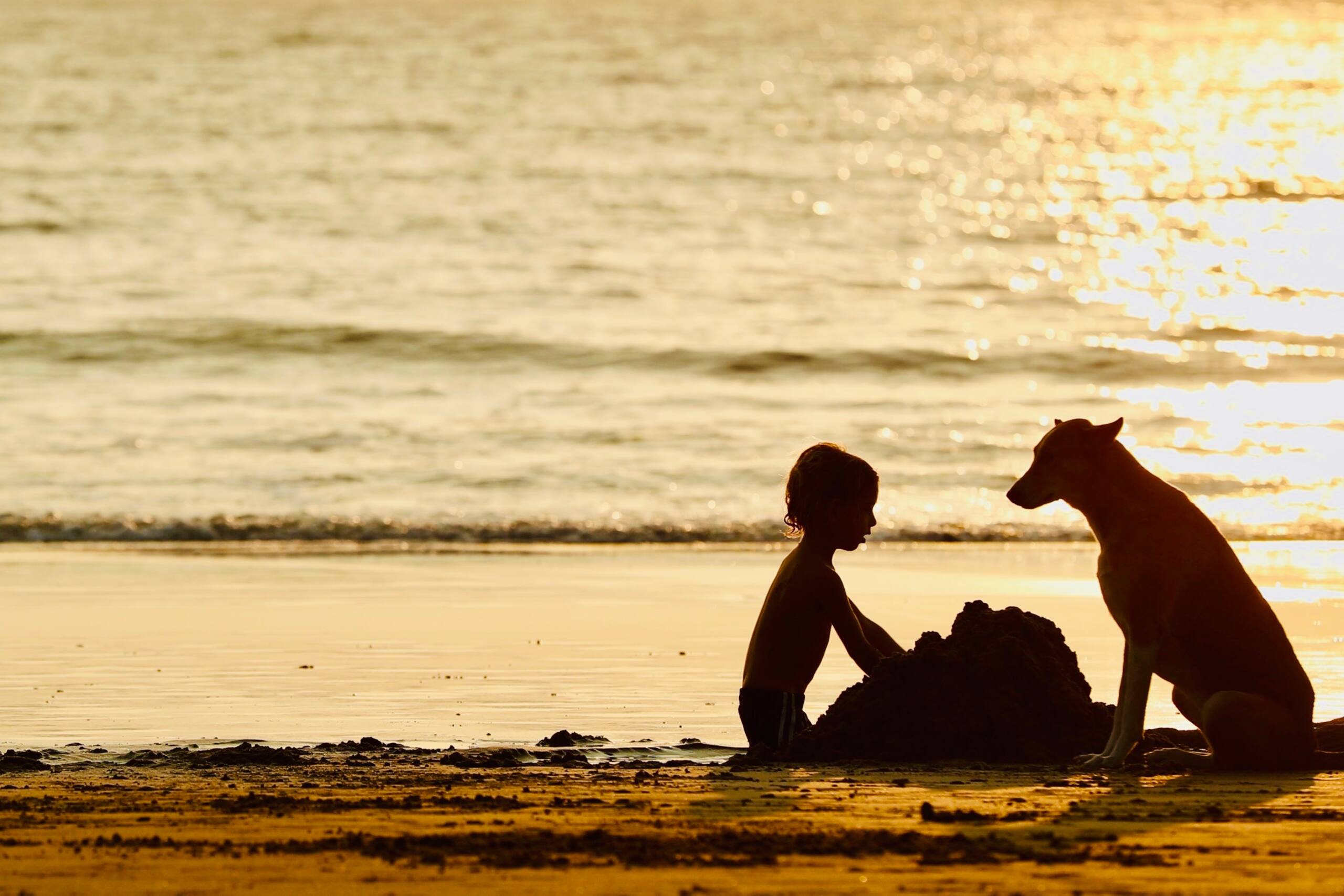 Cozy & bright sweet home close to Patnem beach 31